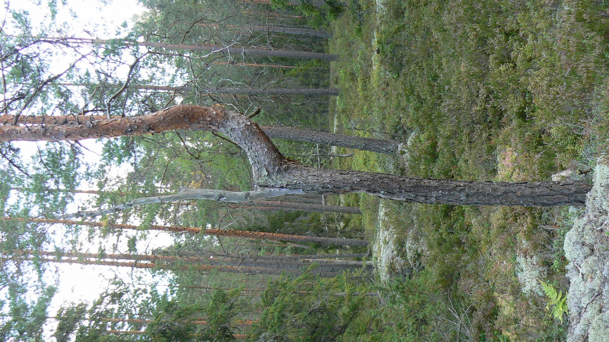 Valokuvaaja: Pekka Heino