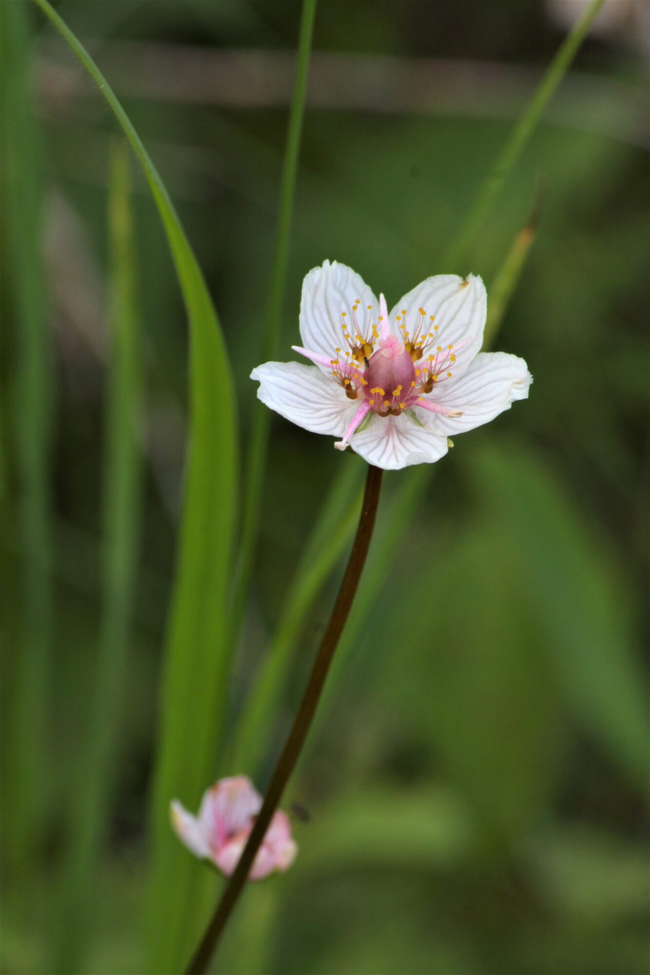 Valokuvaaja: Kaarina Heiskanen