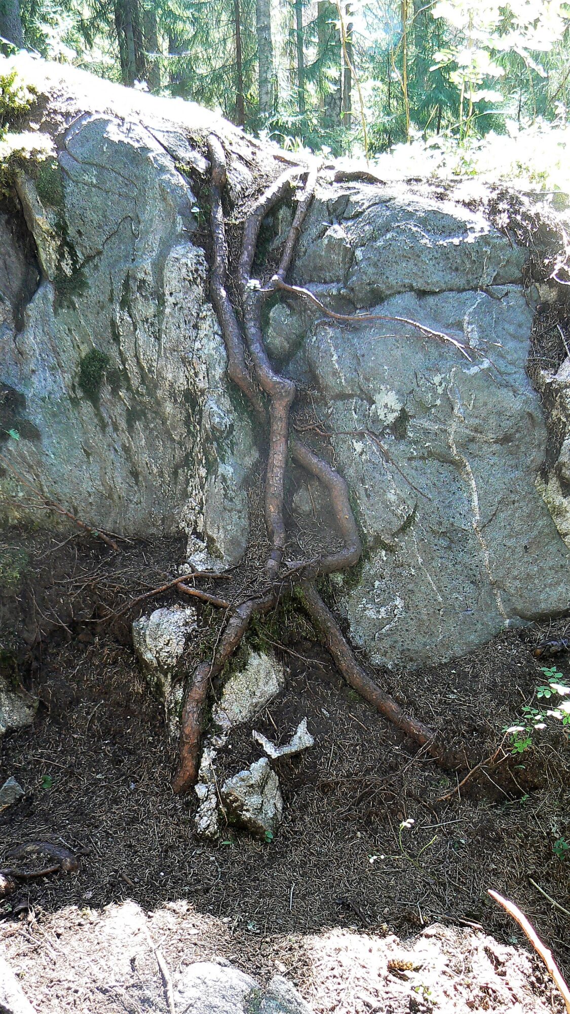 Valokuvaaja: Pekka Heino