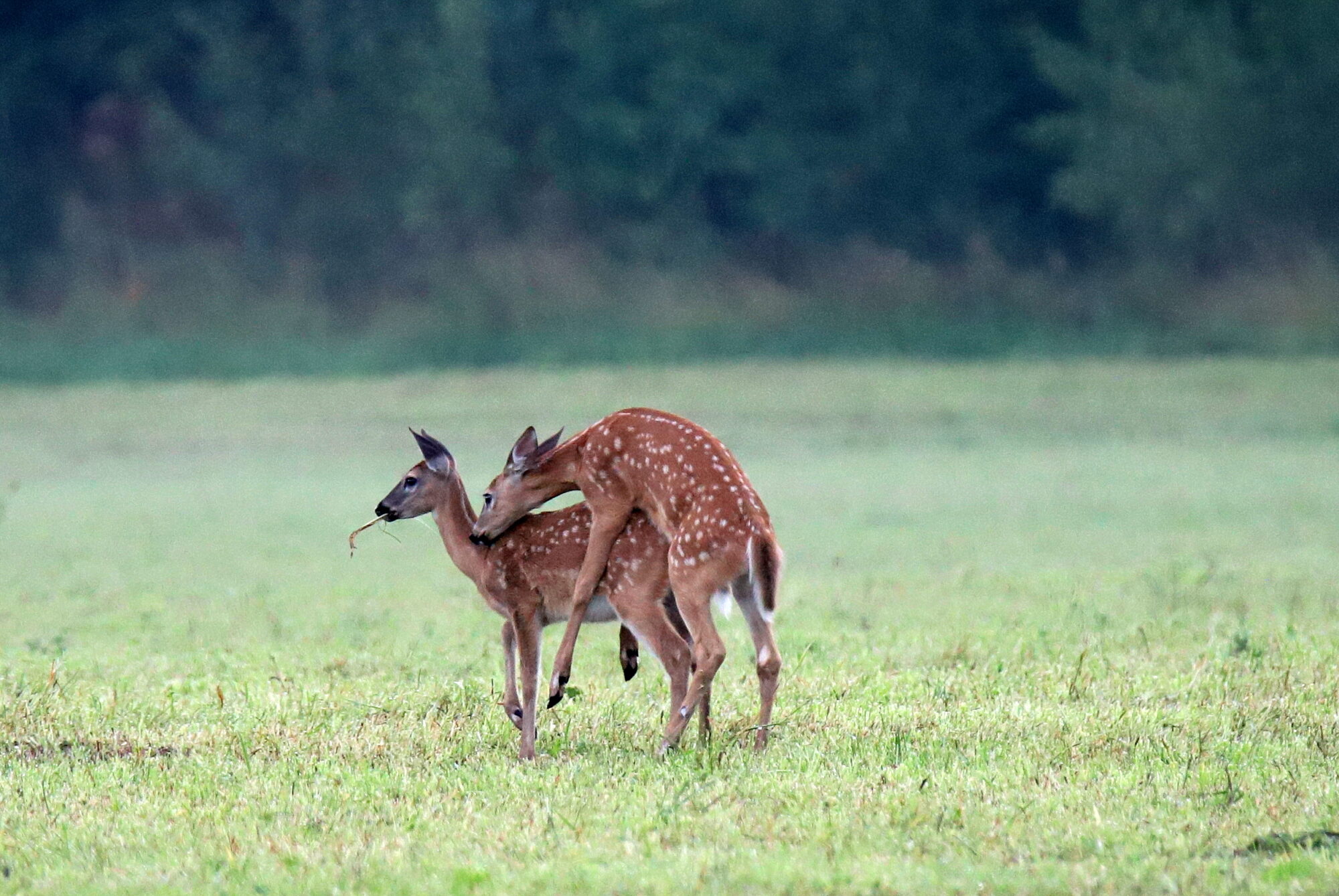 Valokuvaaja: sirpa jyske