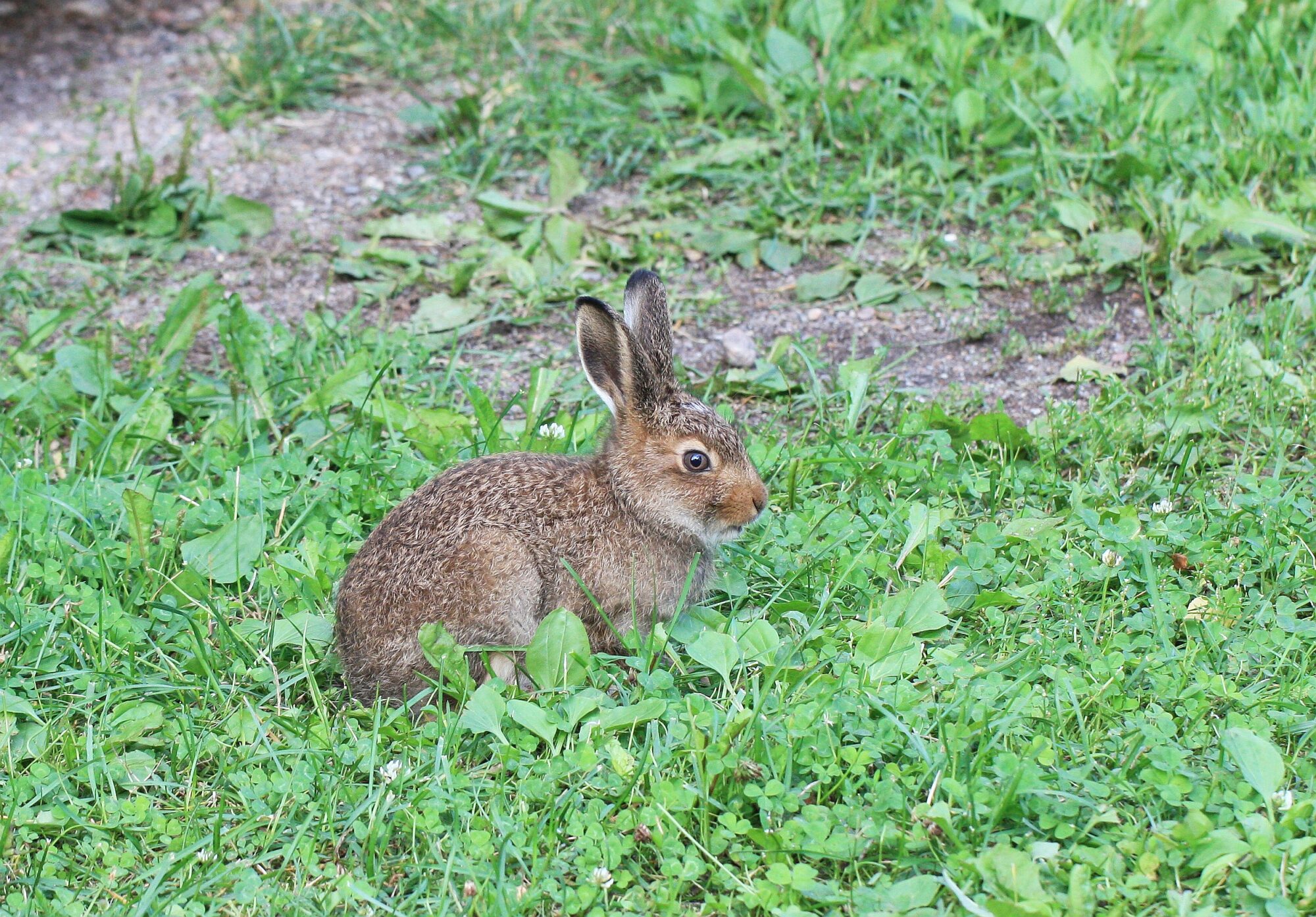Valokuvaaja: Jaana Saarelainen