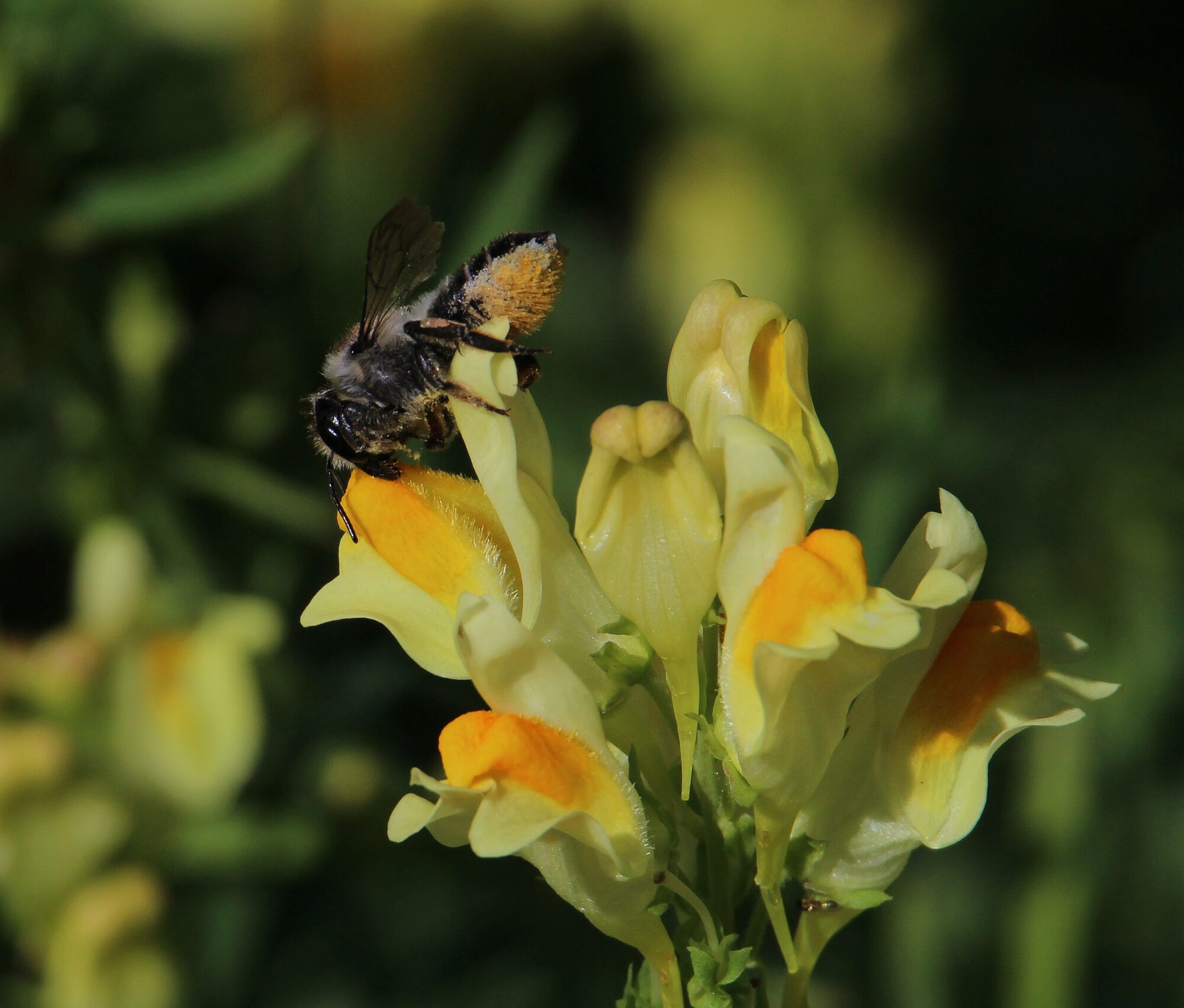 Valokuvaaja: Jaana Saarelainen