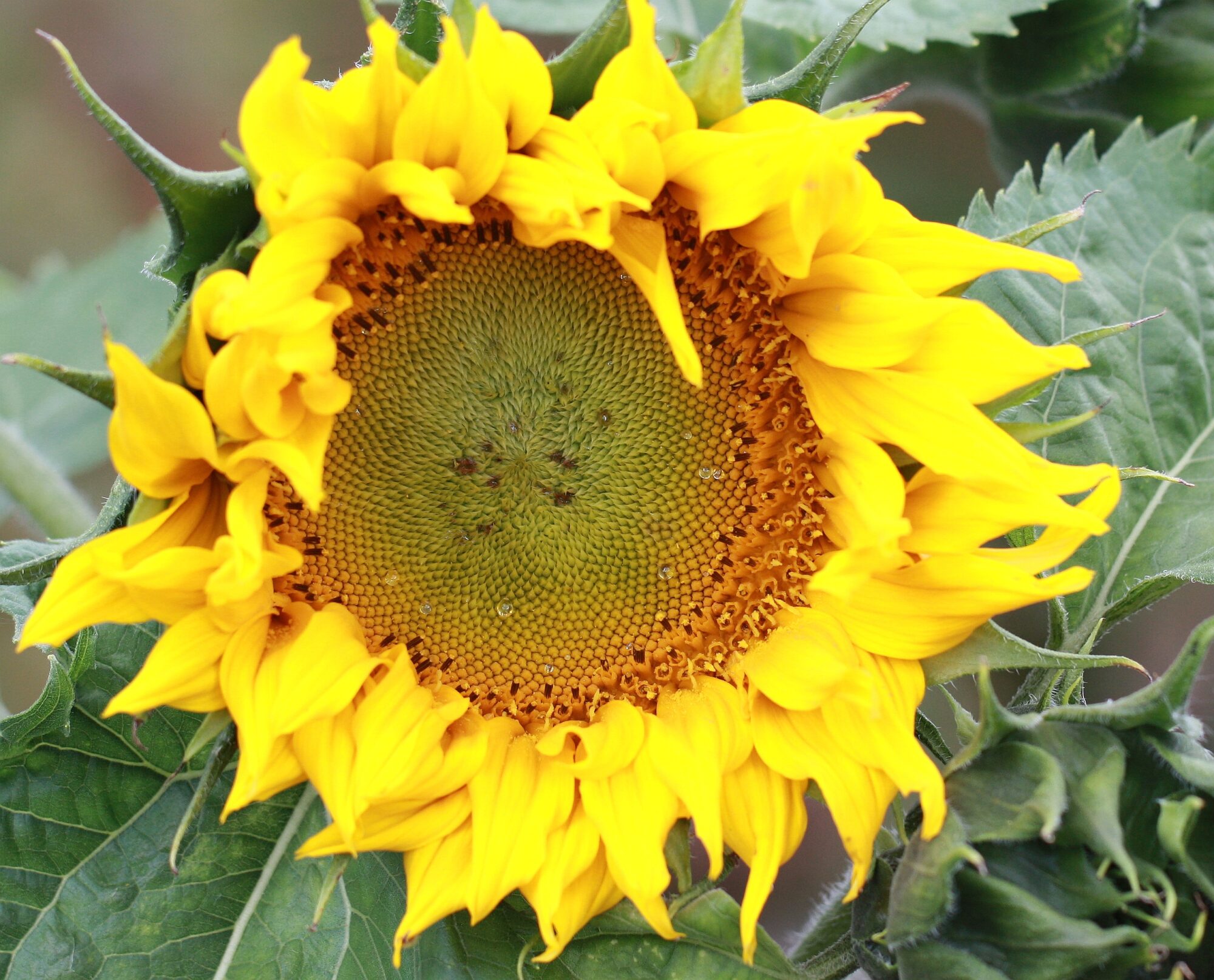 Valokuvaaja: Jaana Saarelainen