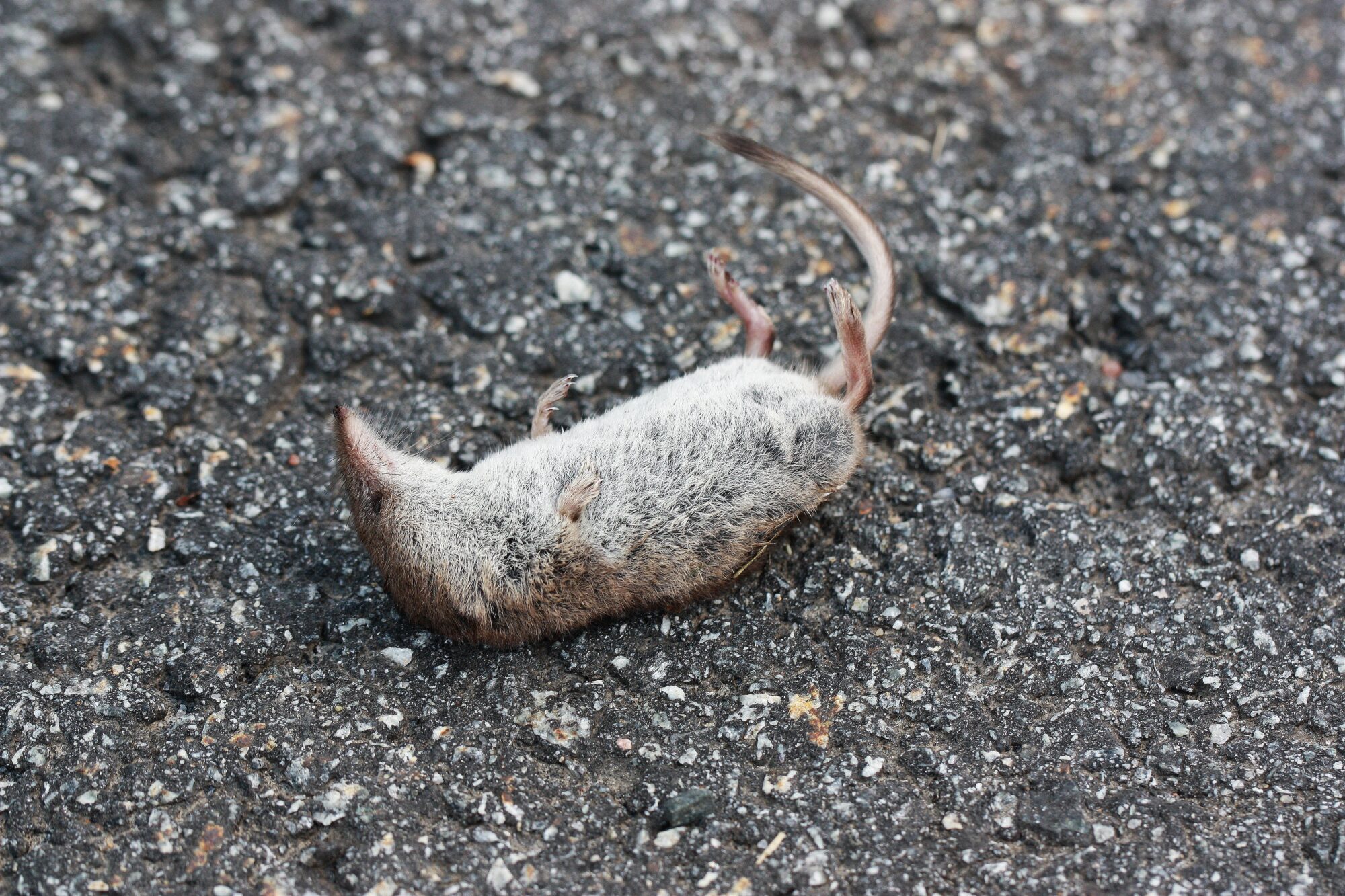 Valokuvaaja: Jaana Saarelainen