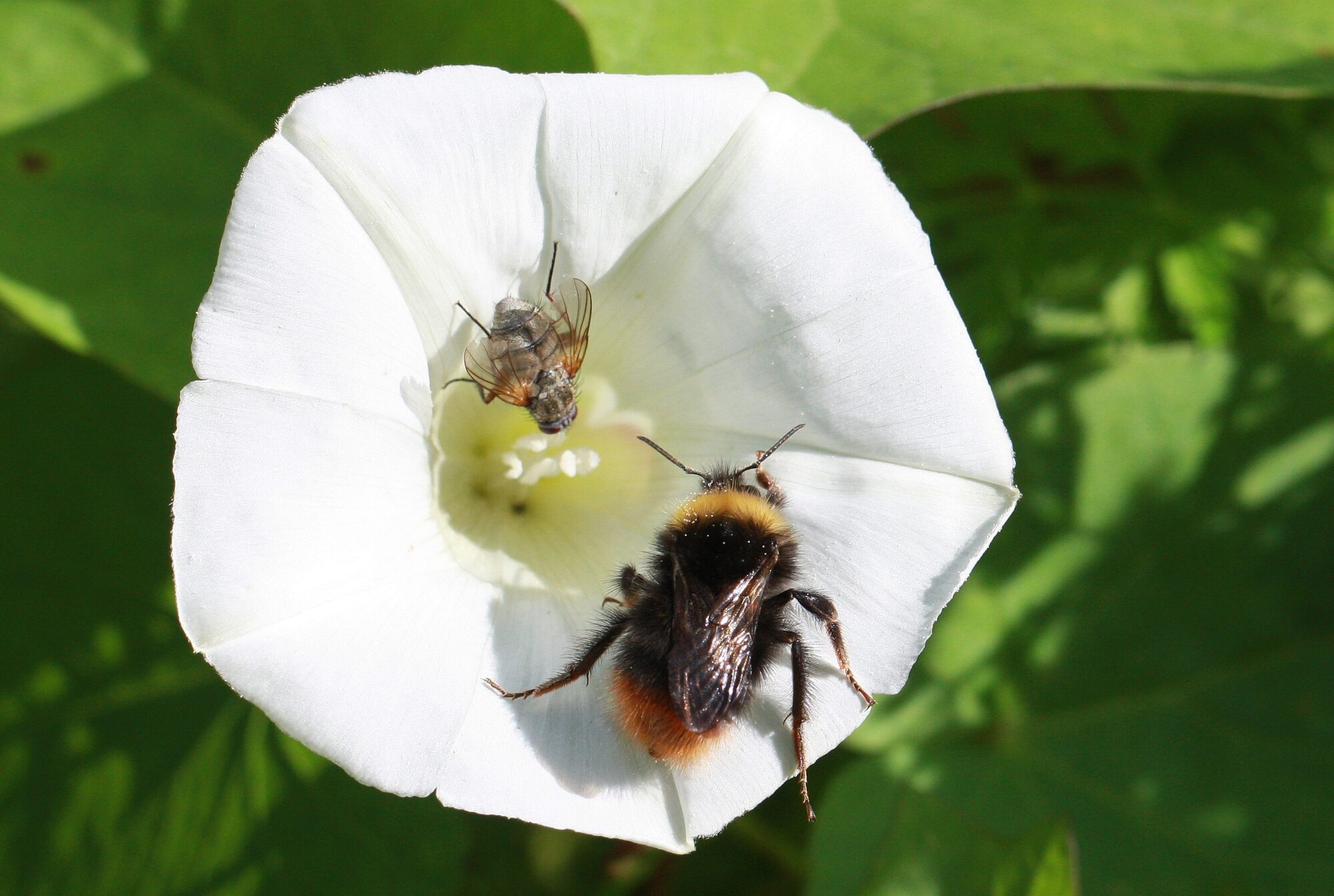 Valokuvaaja: Jaana Saarelainen