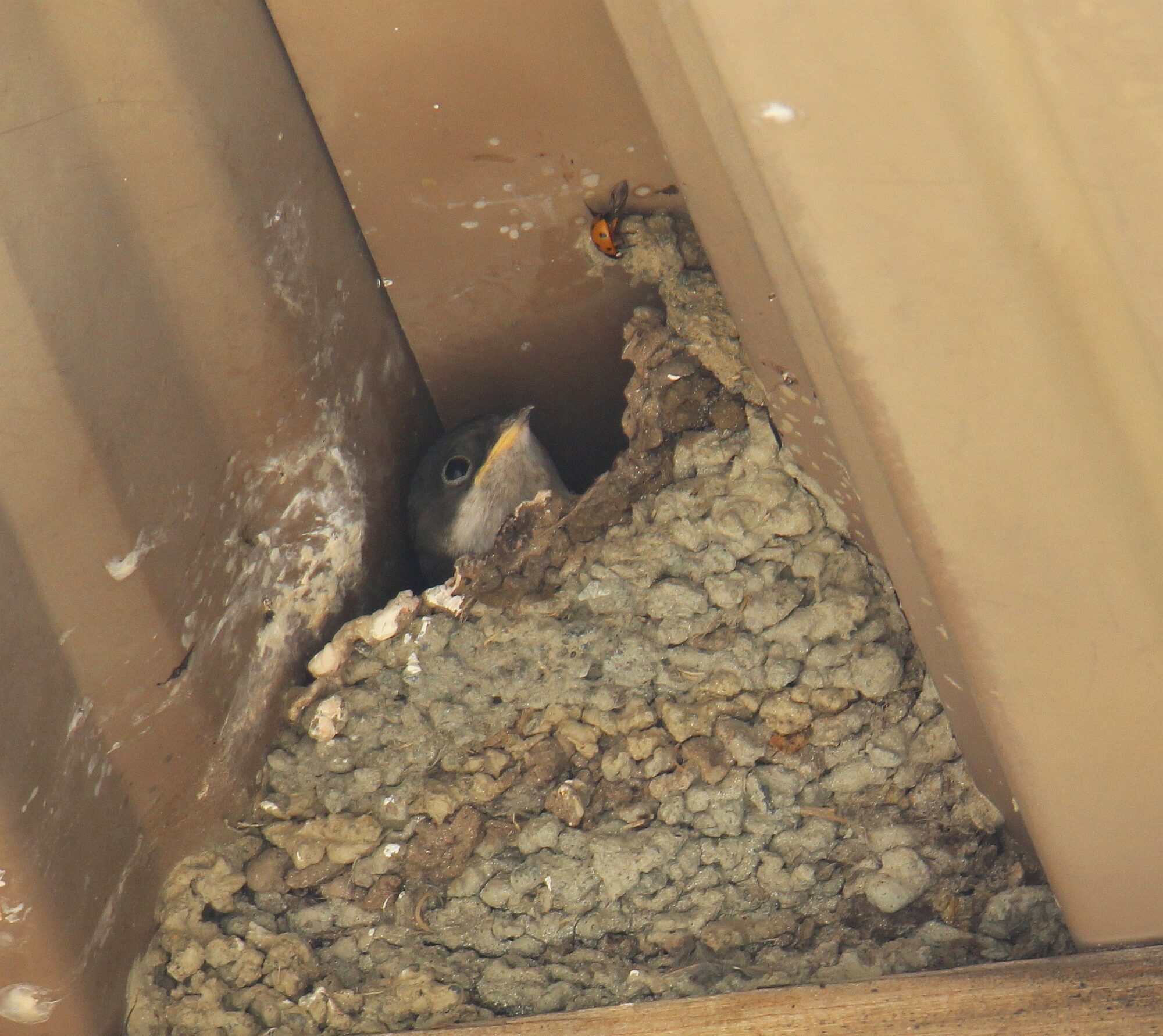 Valokuvaaja: Jaana Saarelainen