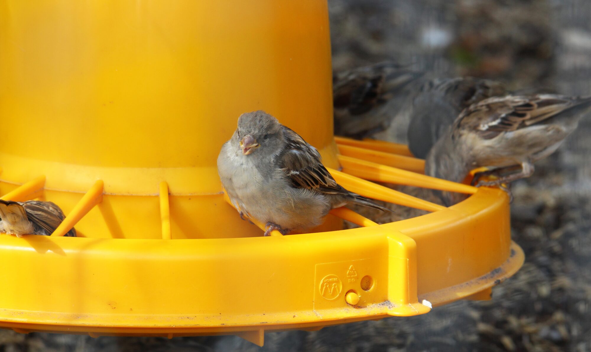 Valokuvaaja: Jaana Saarelainen