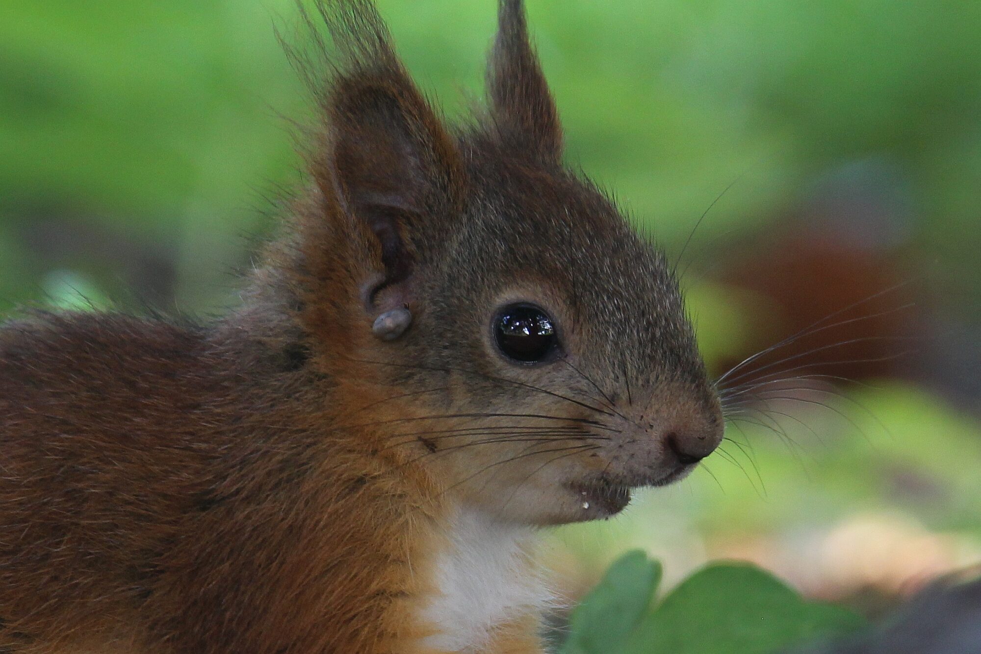 Valokuvaaja: Jaana Saarelainen