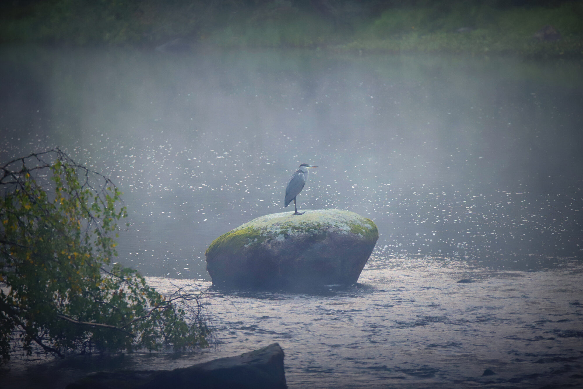 Valokuvaaja: sirpa jyske