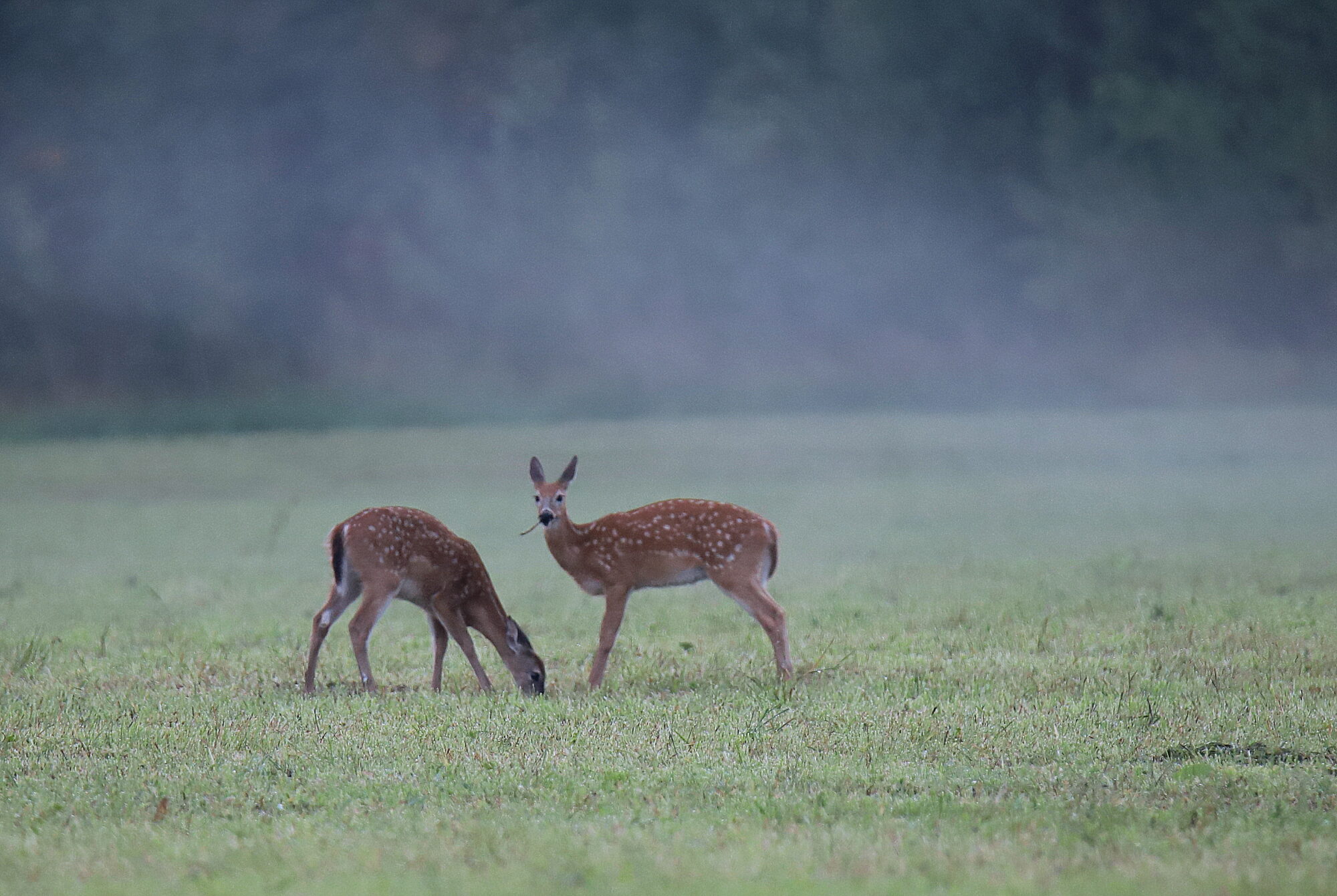 Valokuvaaja: sirpa jyske