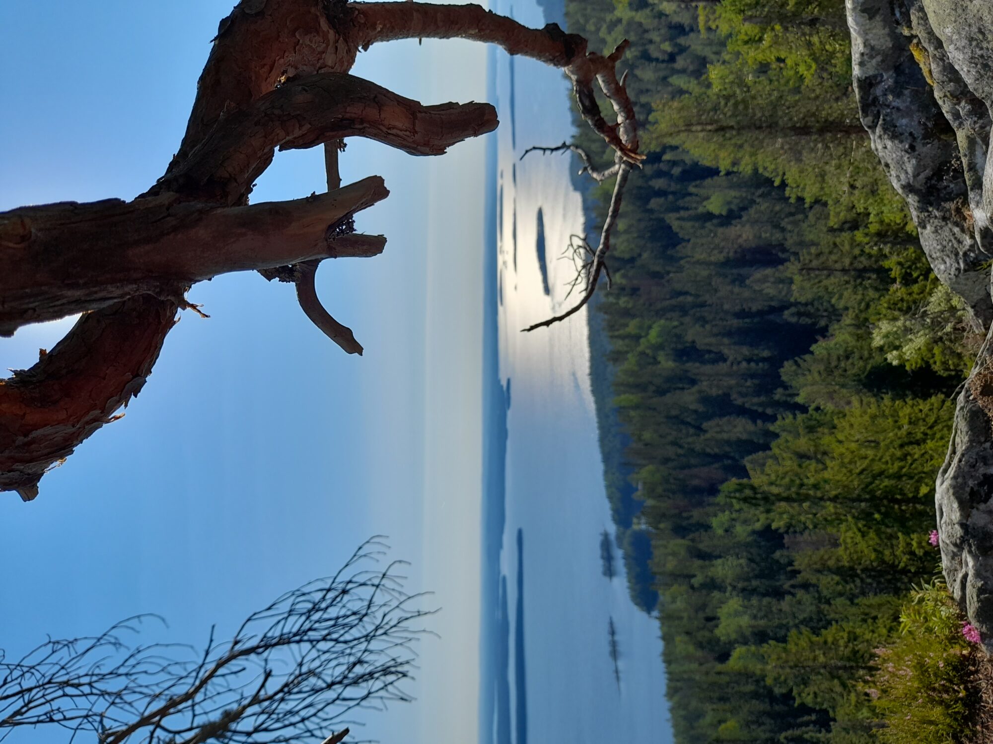 Valokuvaaja: Meri Eronen