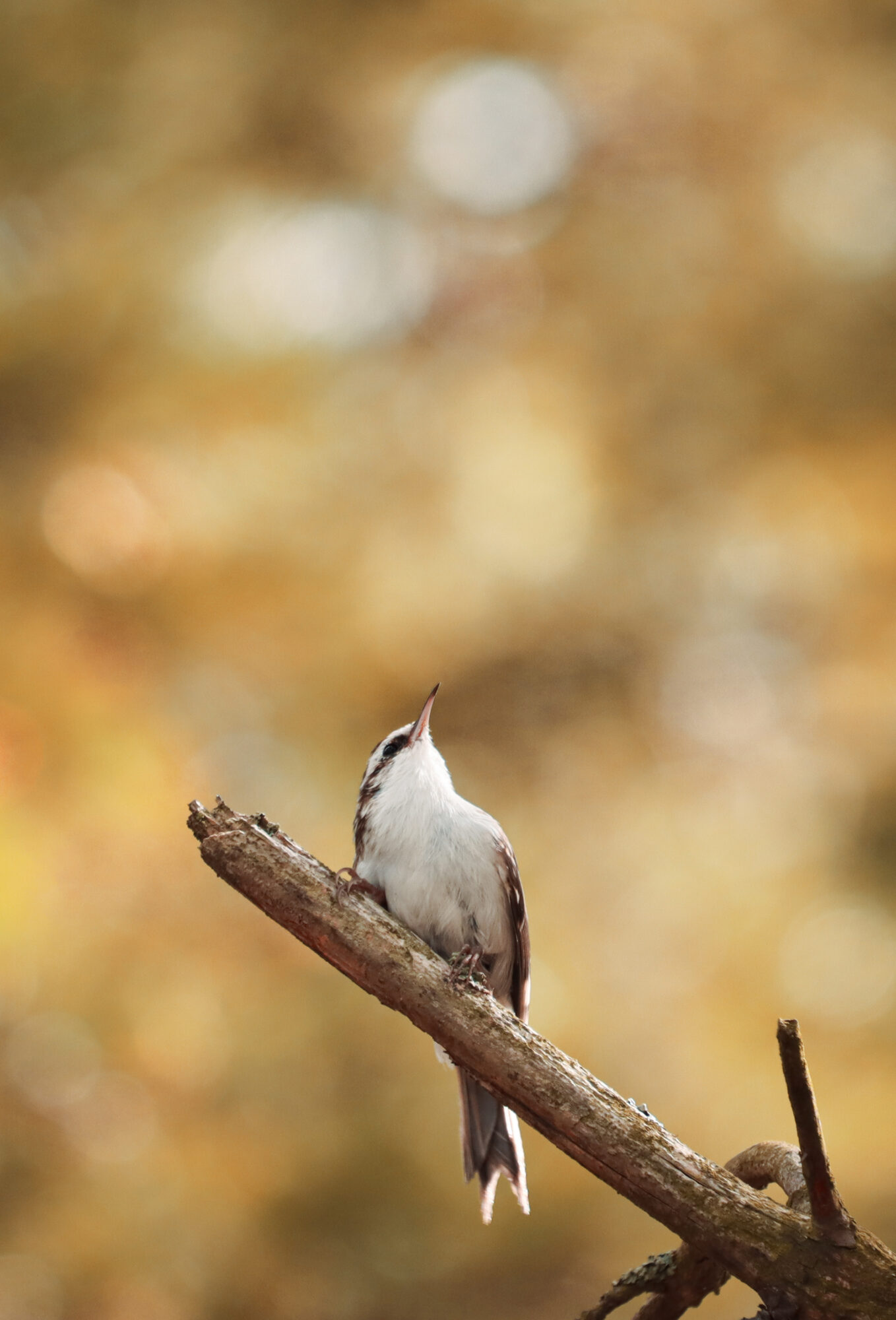 Valokuvaaja: Tomi Heikkonen