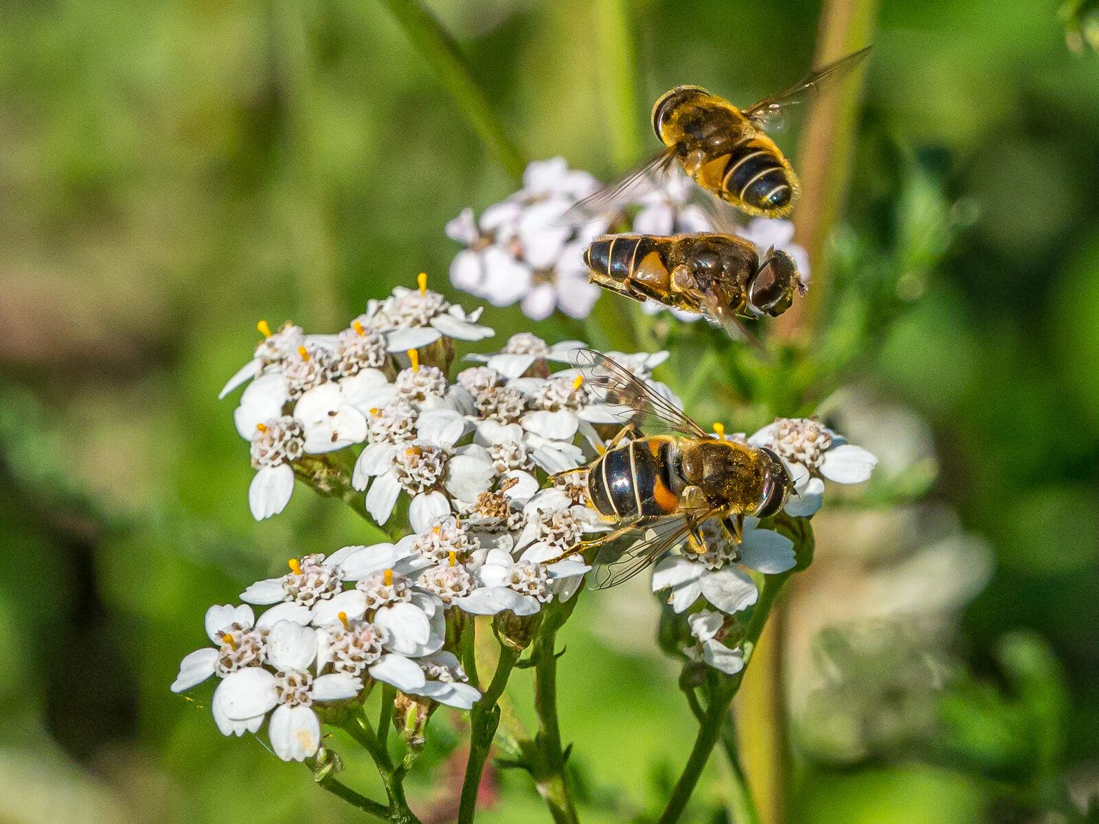 Valokuvaaja: Jukka Luoma