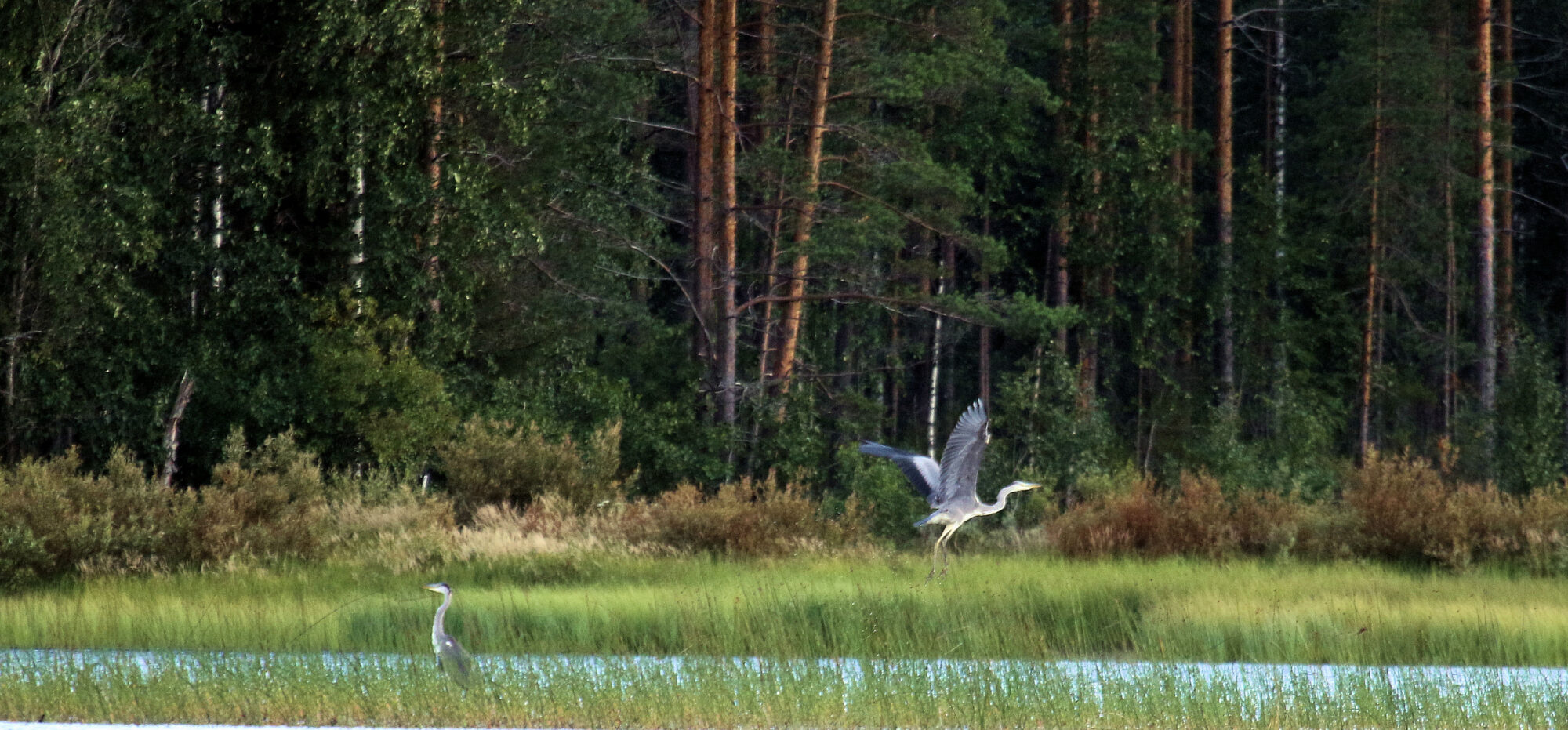 Valokuvaaja: Ahti keränen
