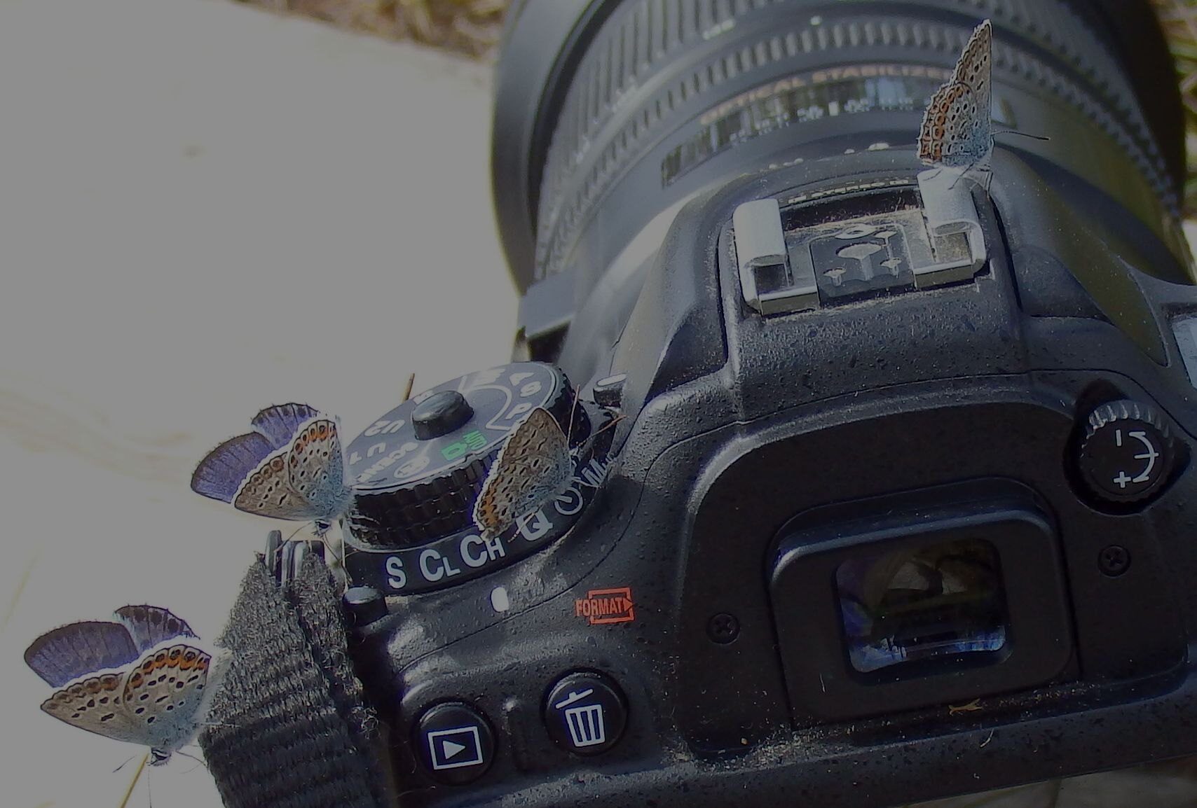 Valokuvaaja: Antti Kaskinen