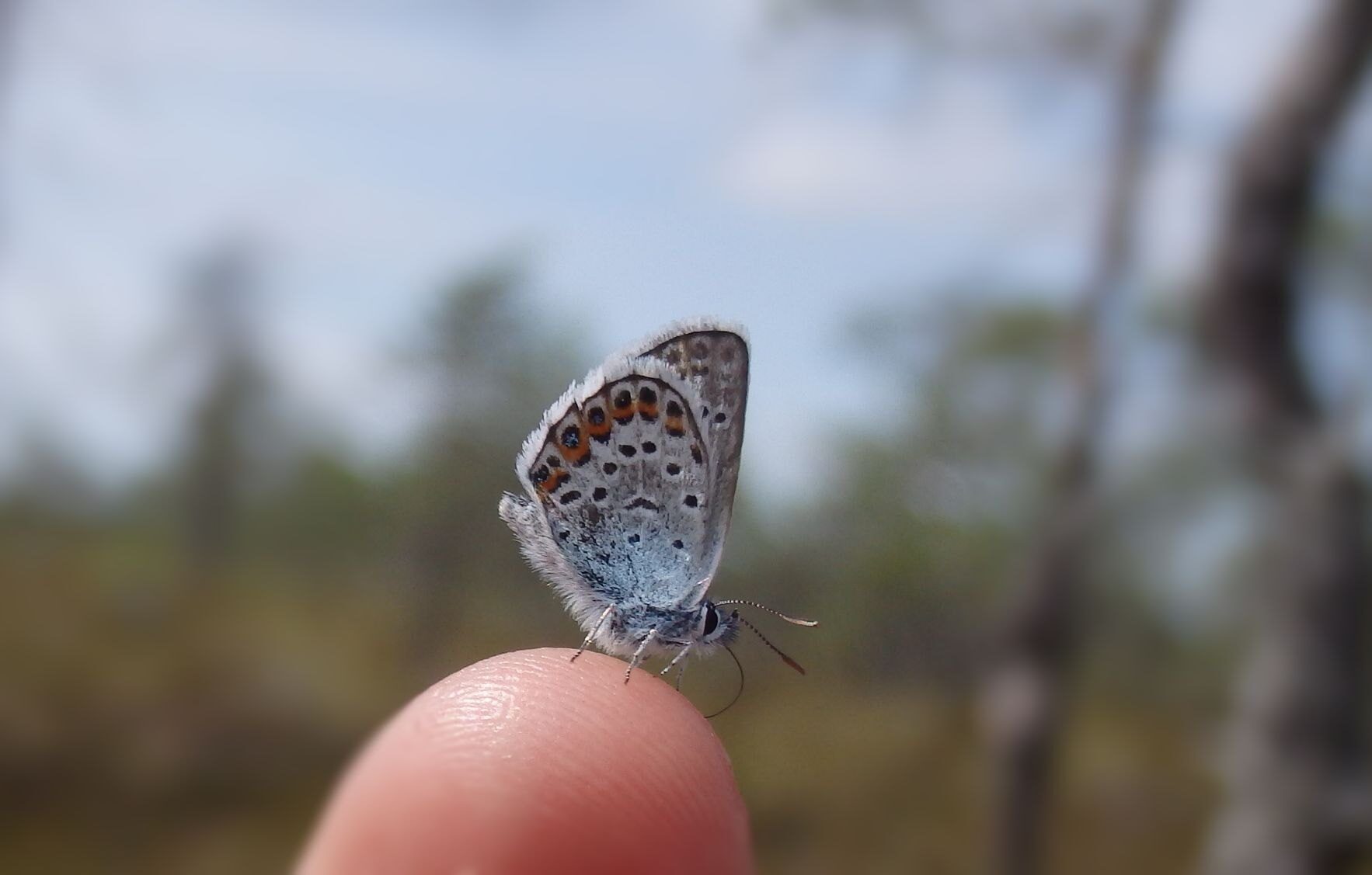 Valokuvaaja: Antti Kaskinen