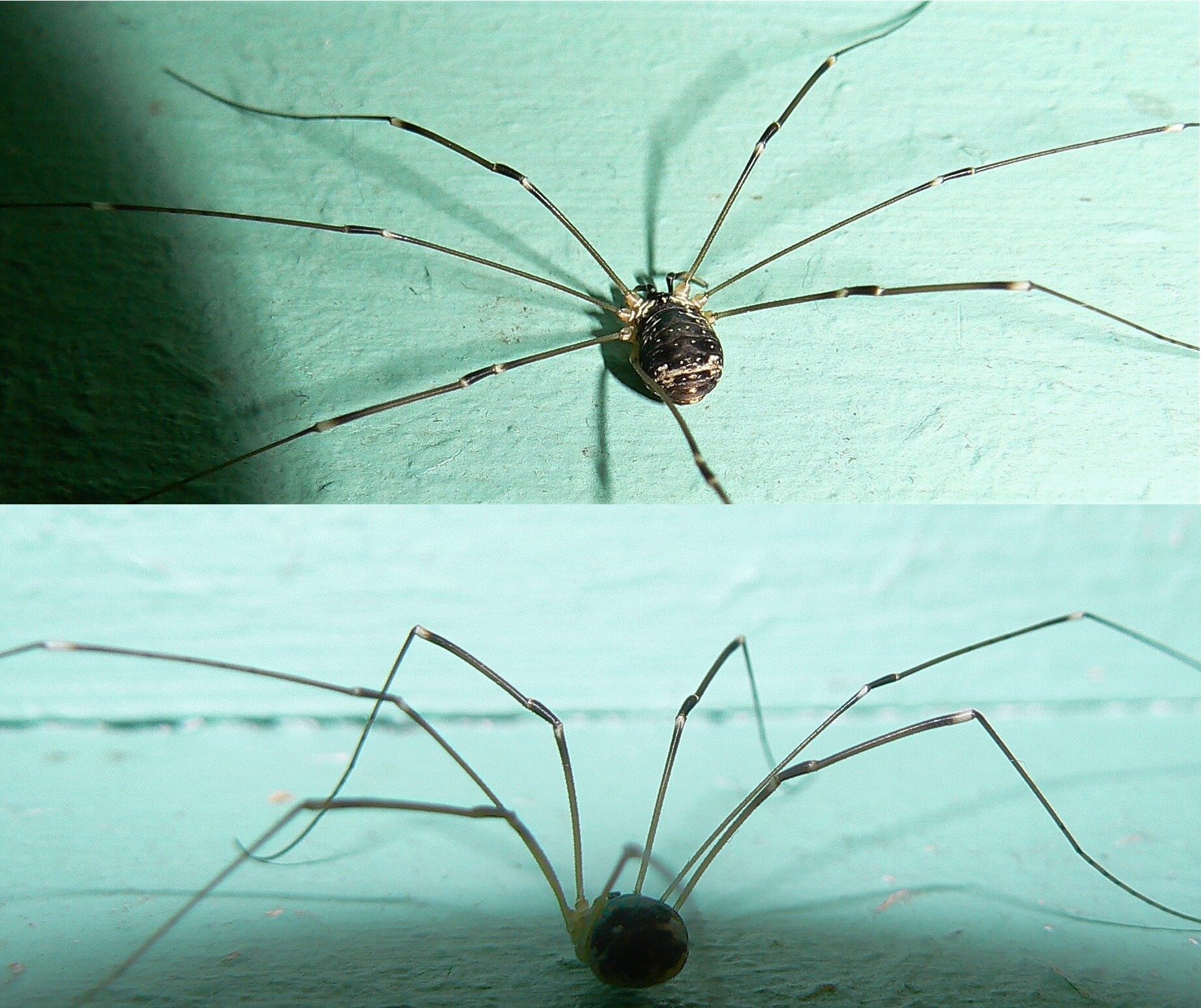 Valokuvaaja: Pekka Heino