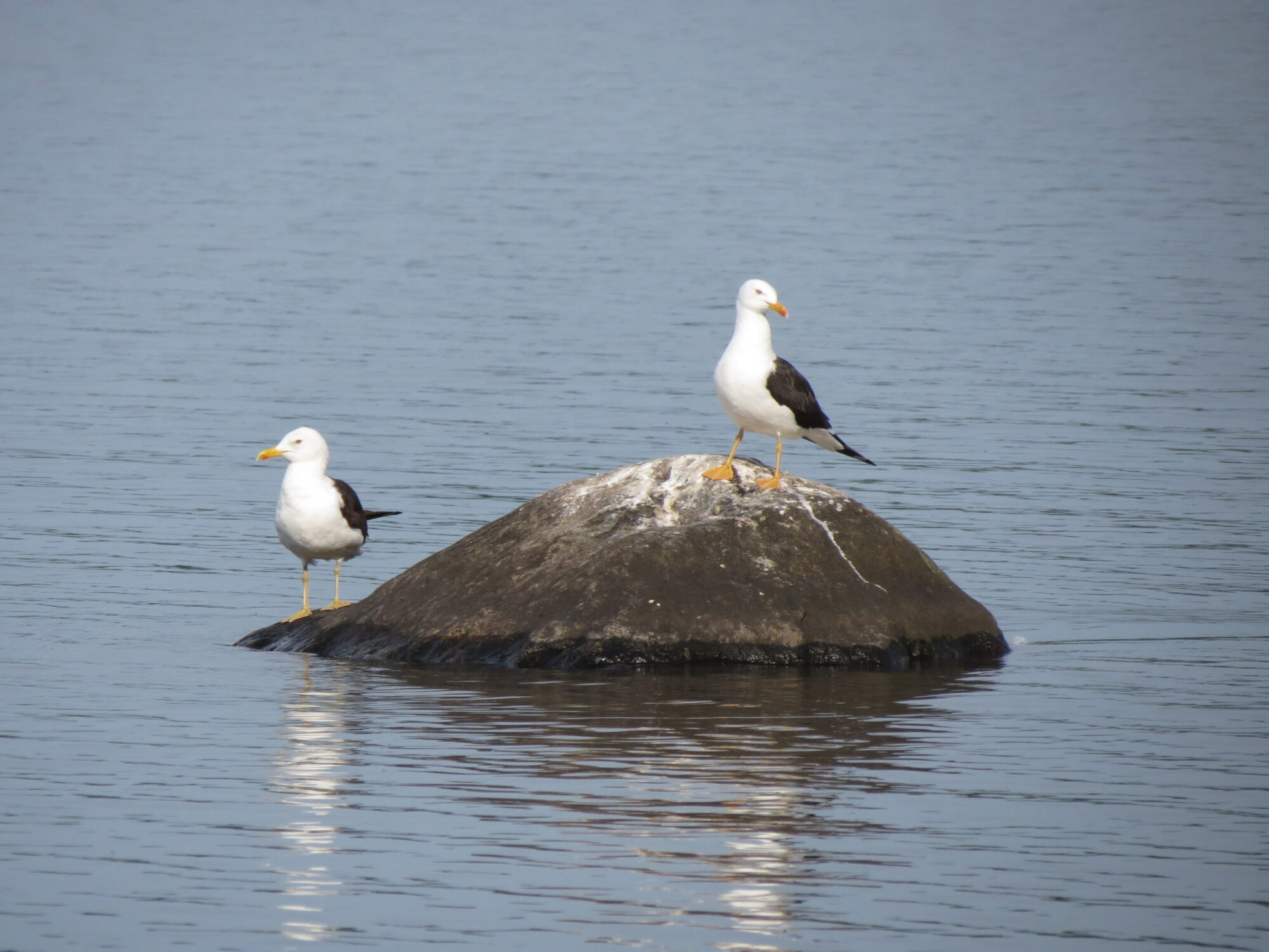 Valokuvaaja: Elina Vuorimaa-Laukkanen