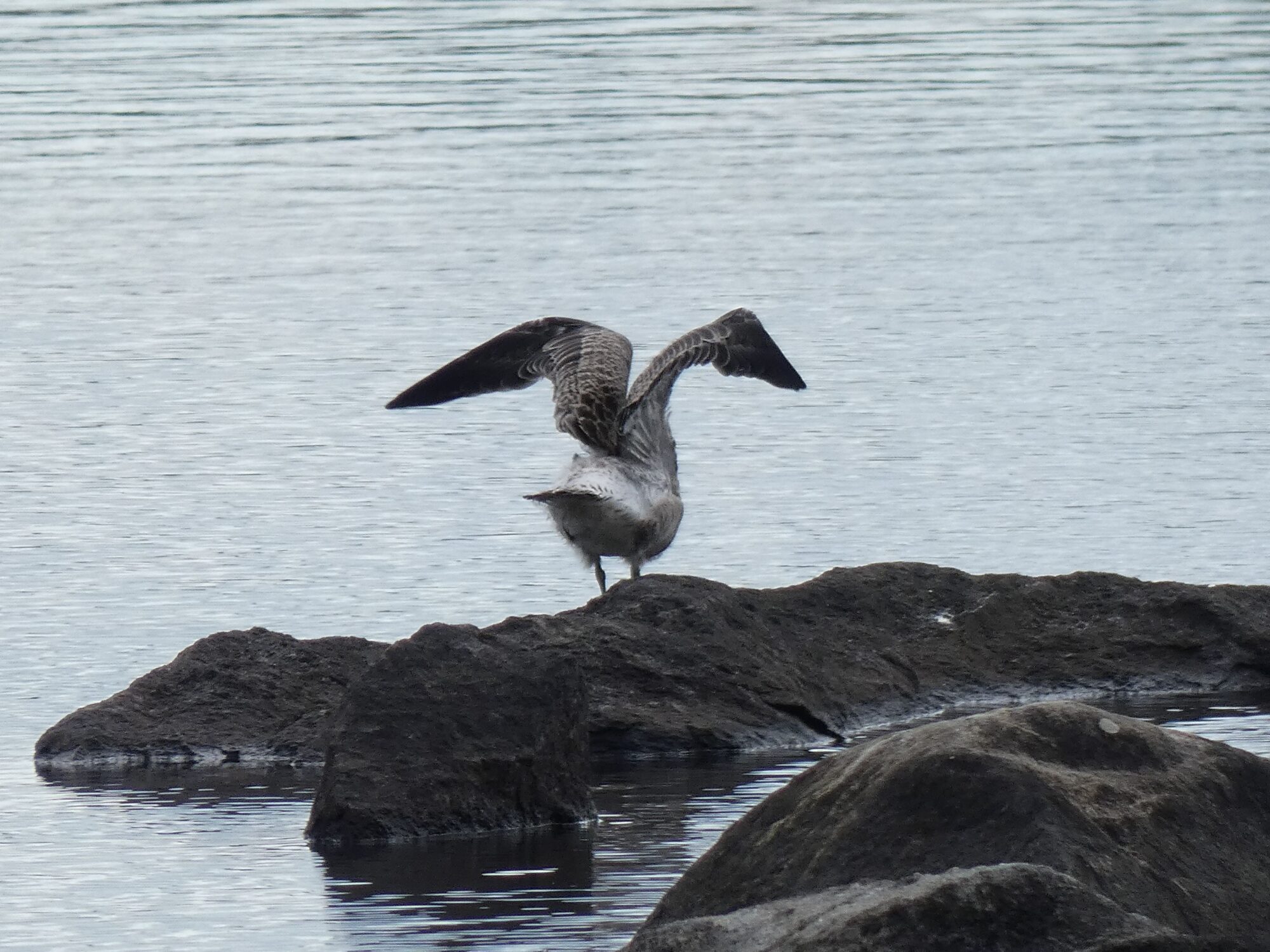 Valokuvaaja: Eero Peltonen