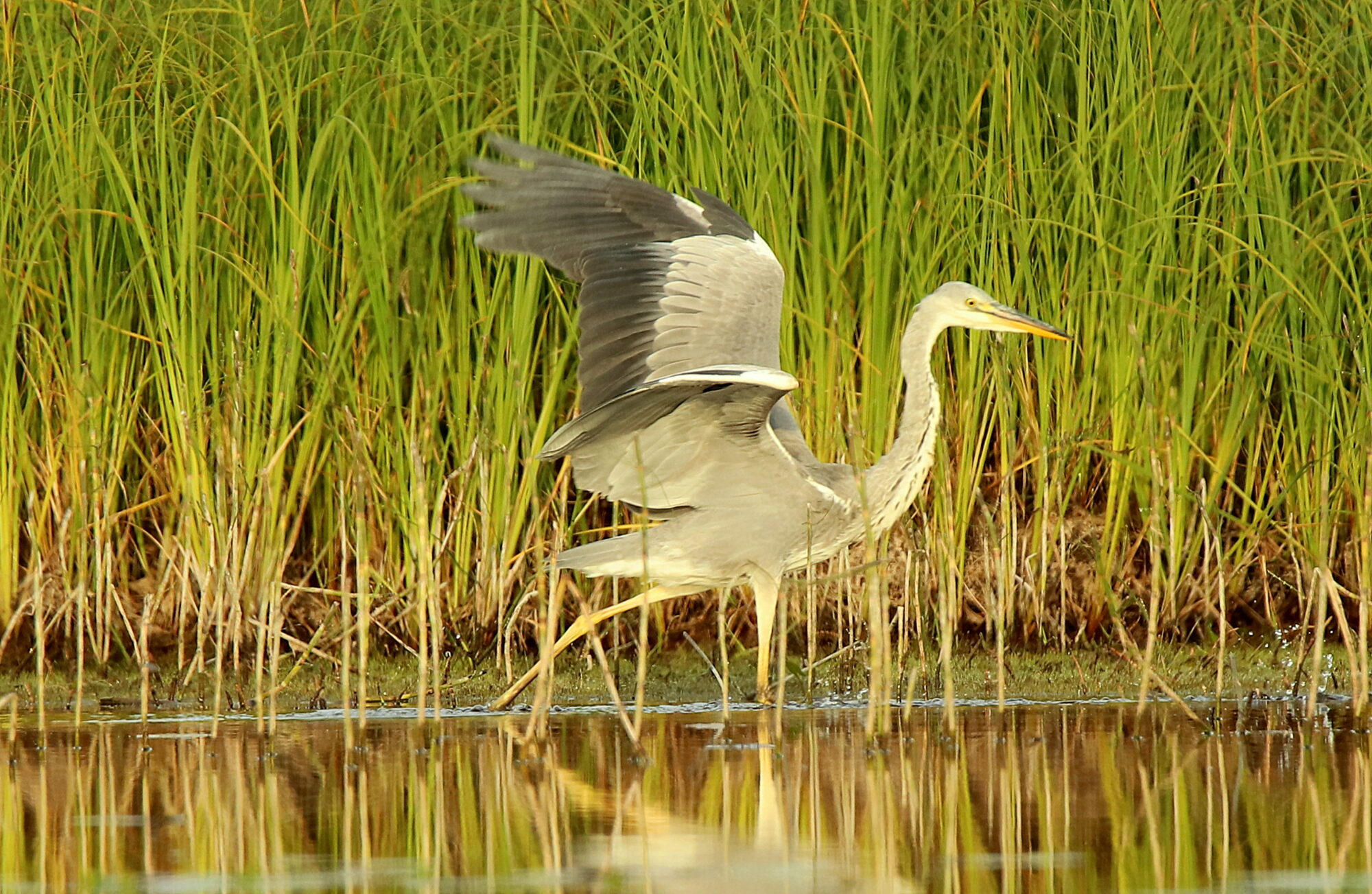 Valokuvaaja: sirpa jyske