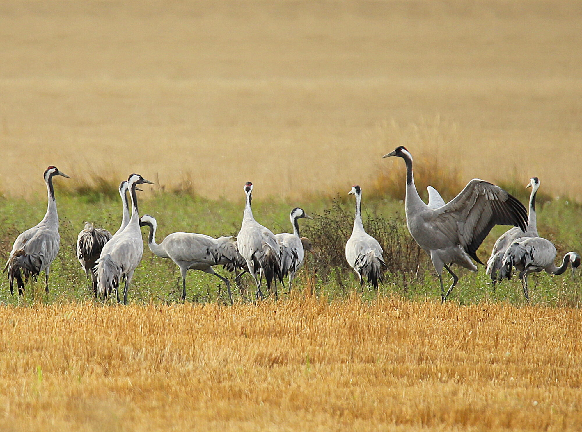 Valokuvaaja: sirpa jyske