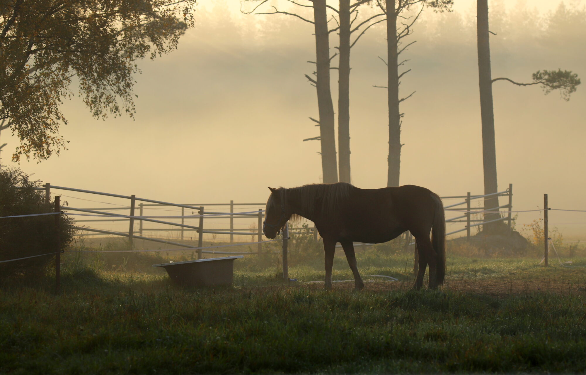 Valokuvaaja: sirpa jyske