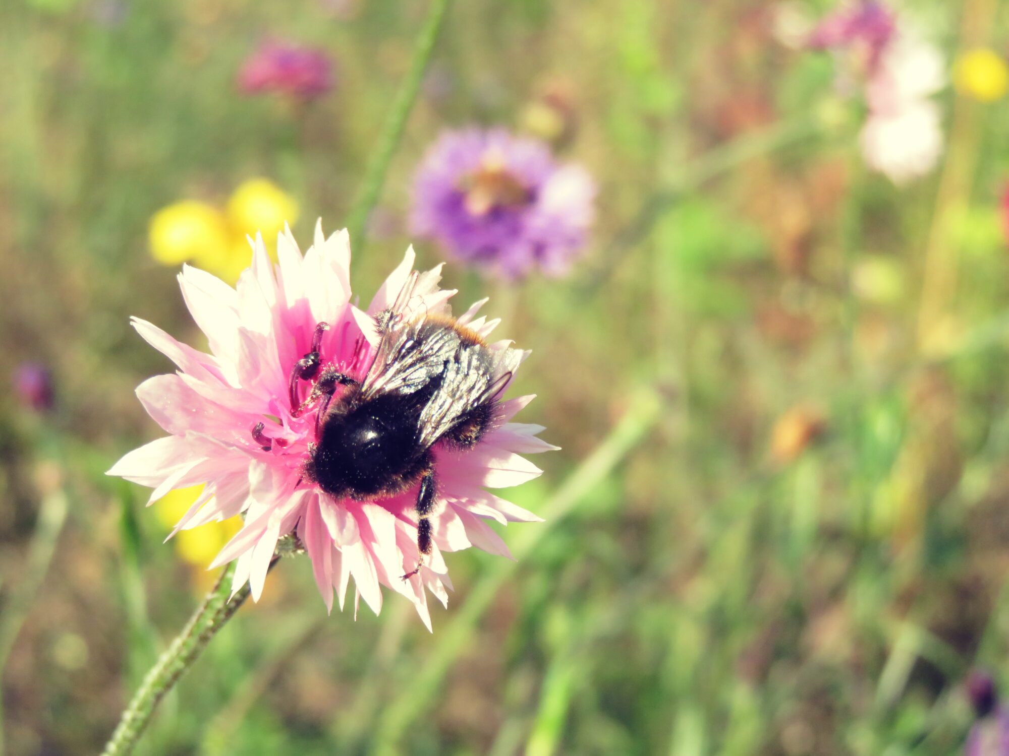 Valokuvaaja: Mari Ahtola Valokuvaaja: Mari Ahtola