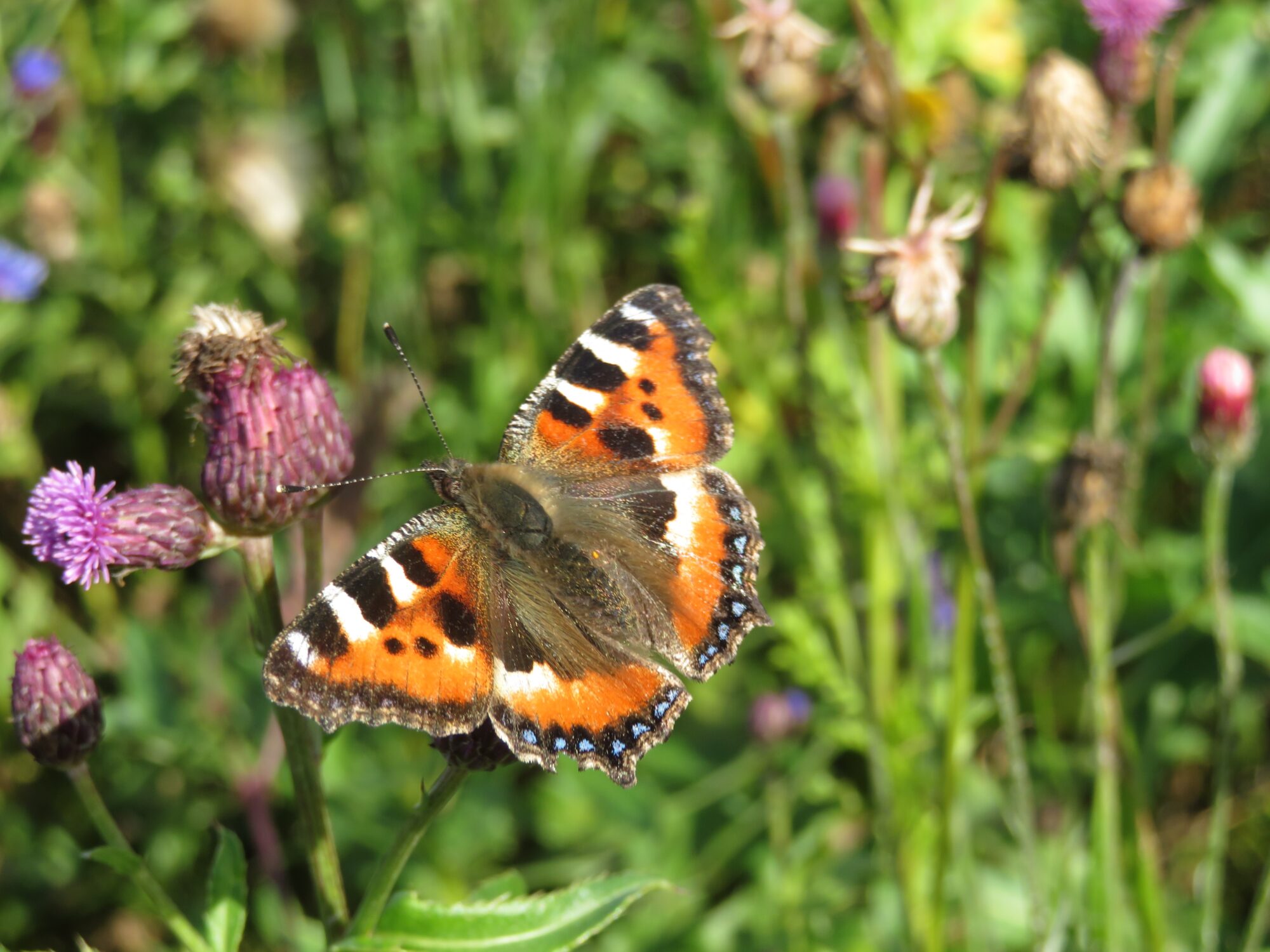 Valokuvaaja: Mari Ahtola