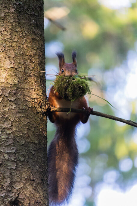 Valokuvaaja: Ida Leino