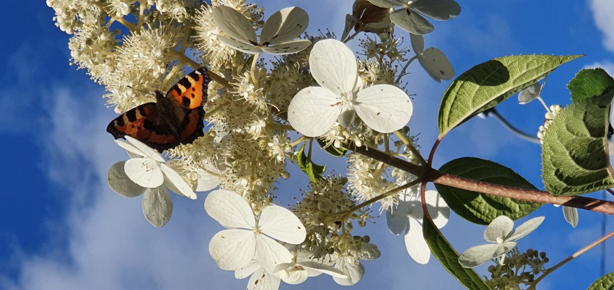 Valokuvaaja: Lech Jasiak