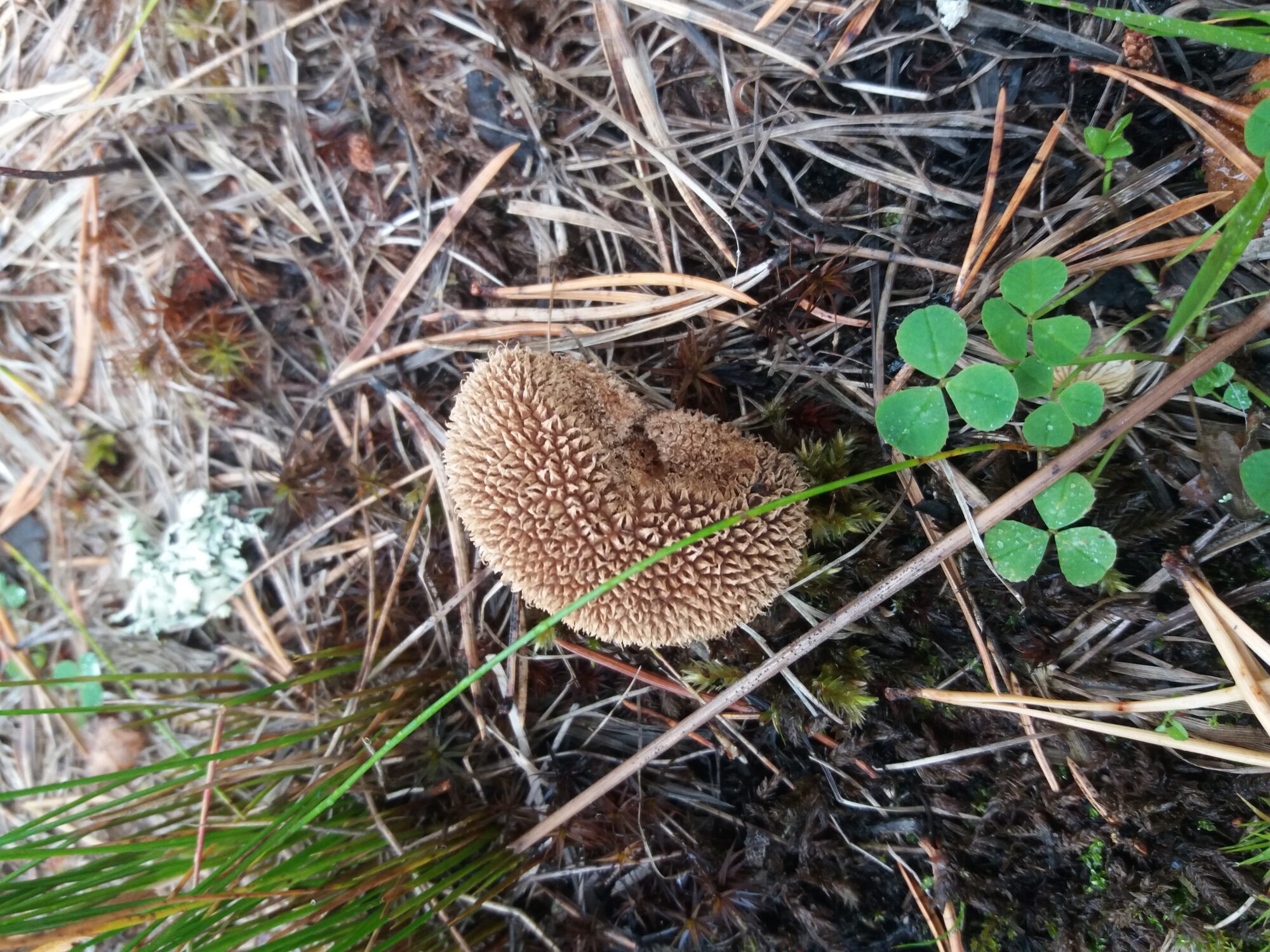 Valokuvaaja: Katri Lassila