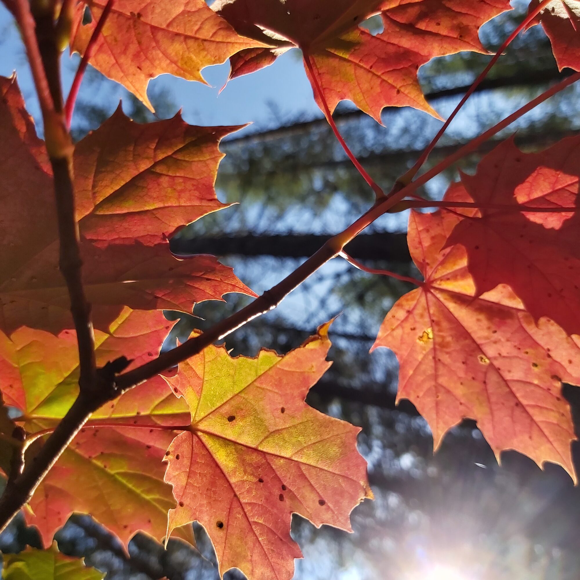 Valokuvaaja: Kaisa Marila