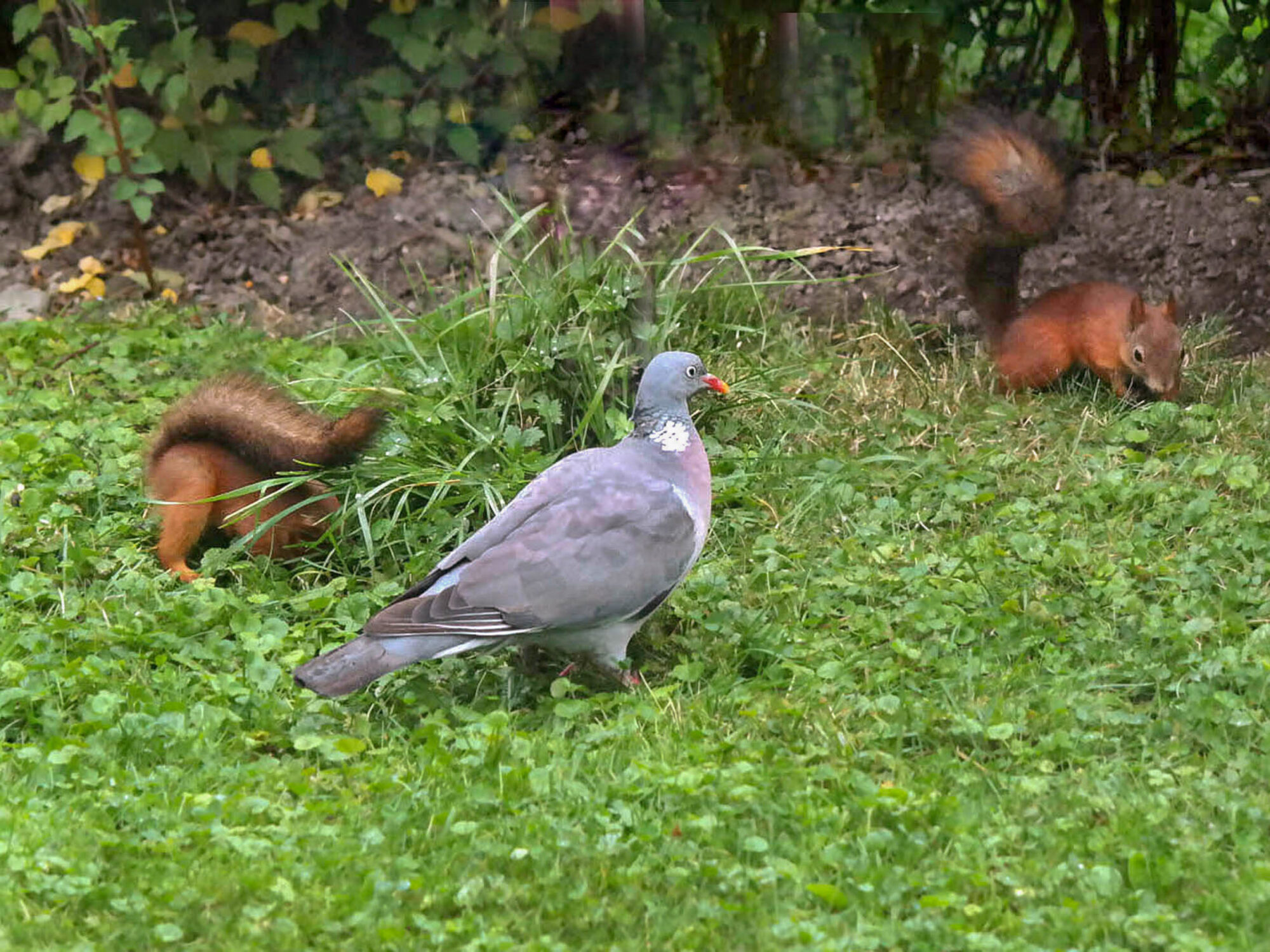 Valokuvaaja: Aki Jalava