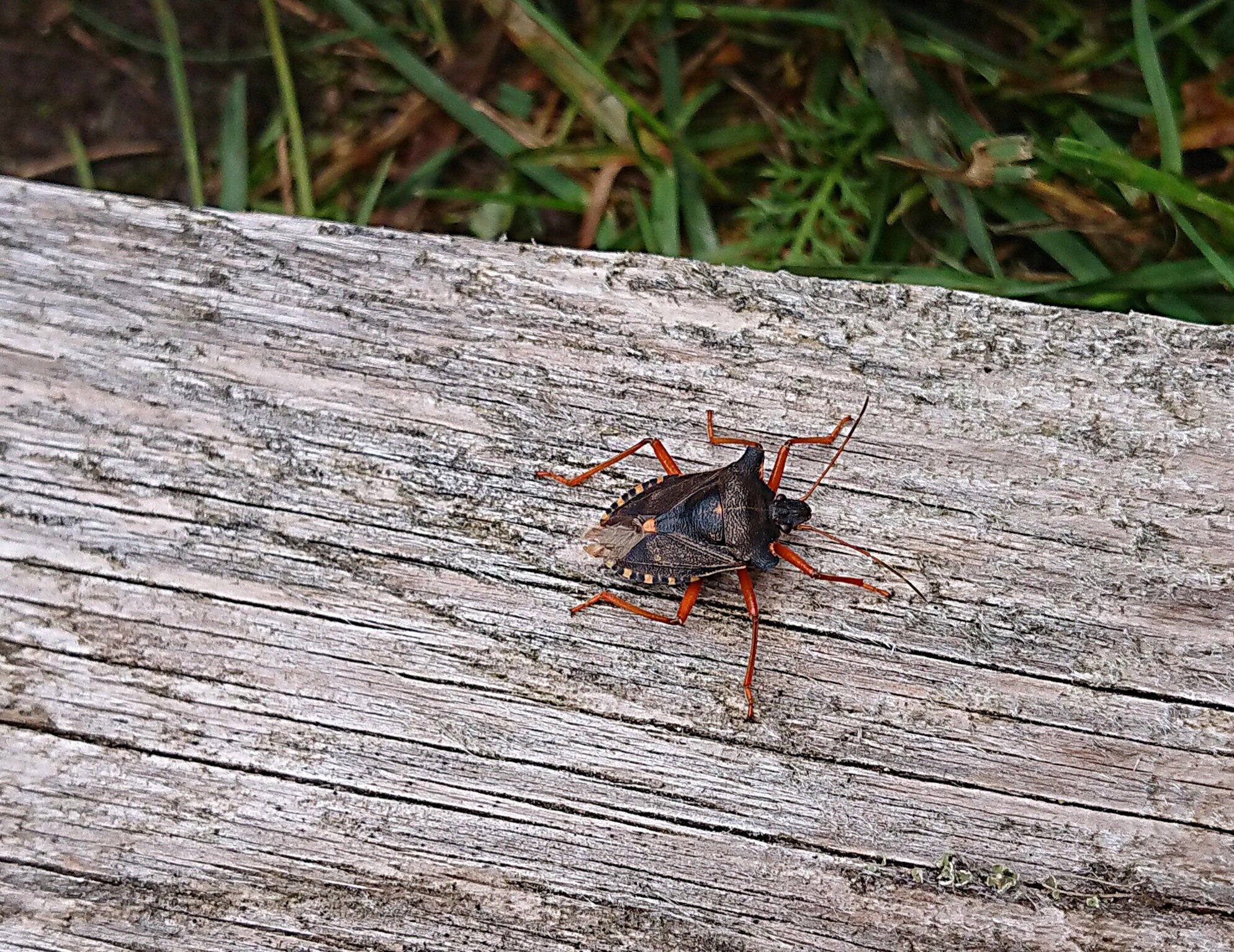 Valokuvaaja: Kati Westerlund