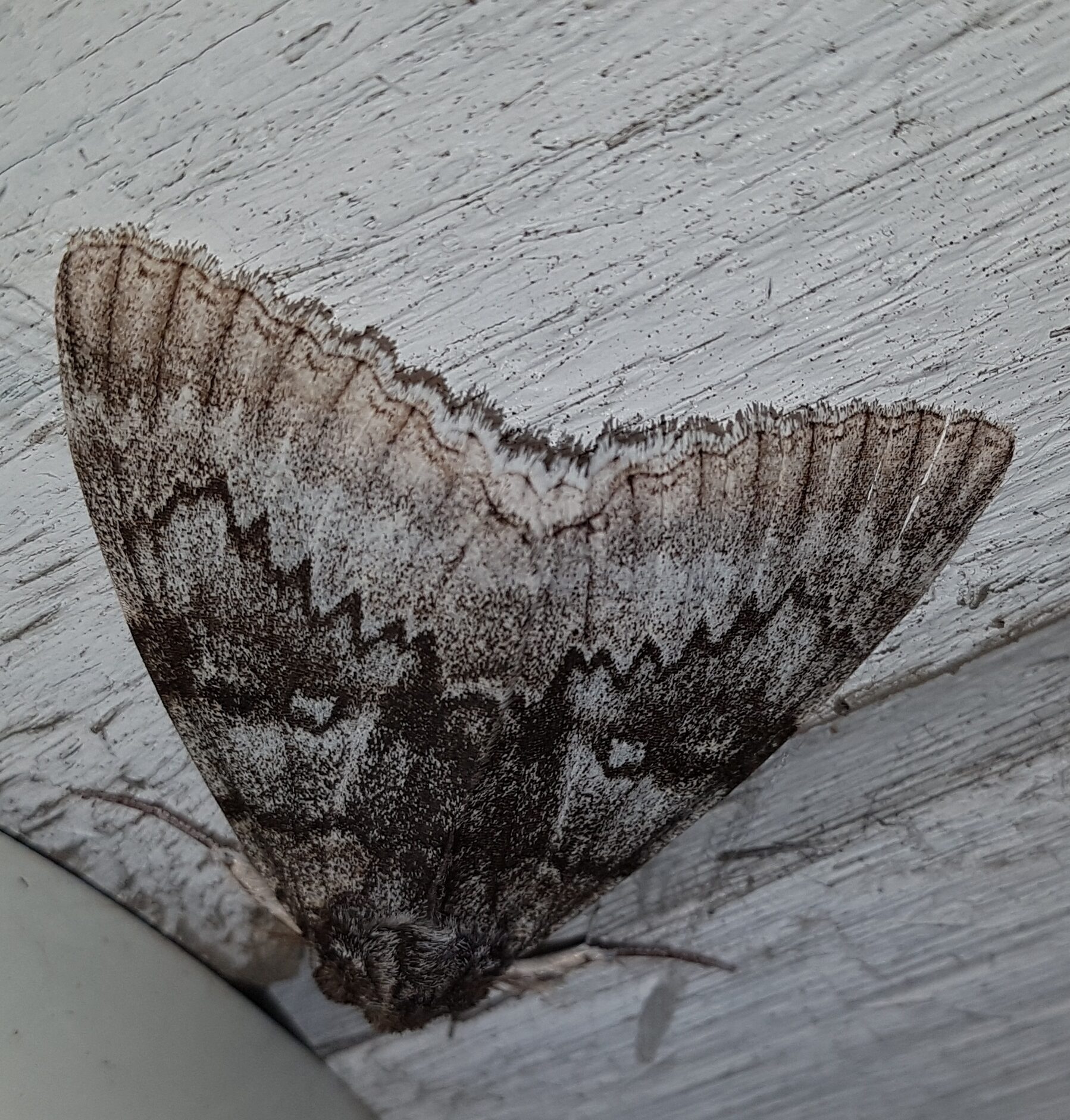 Valokuvaaja: Erja Tervonen