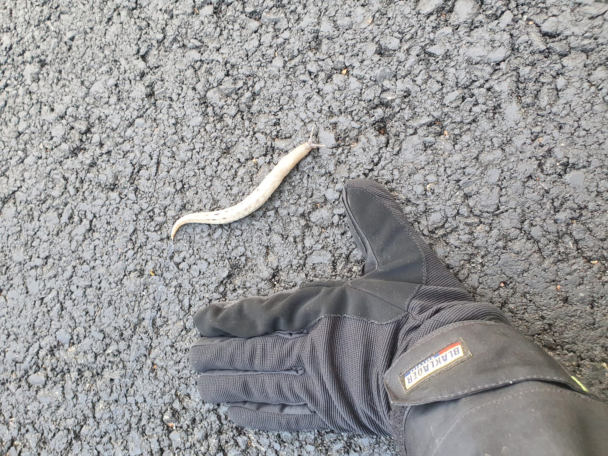 Valokuvaaja: Jussi Hautakangas