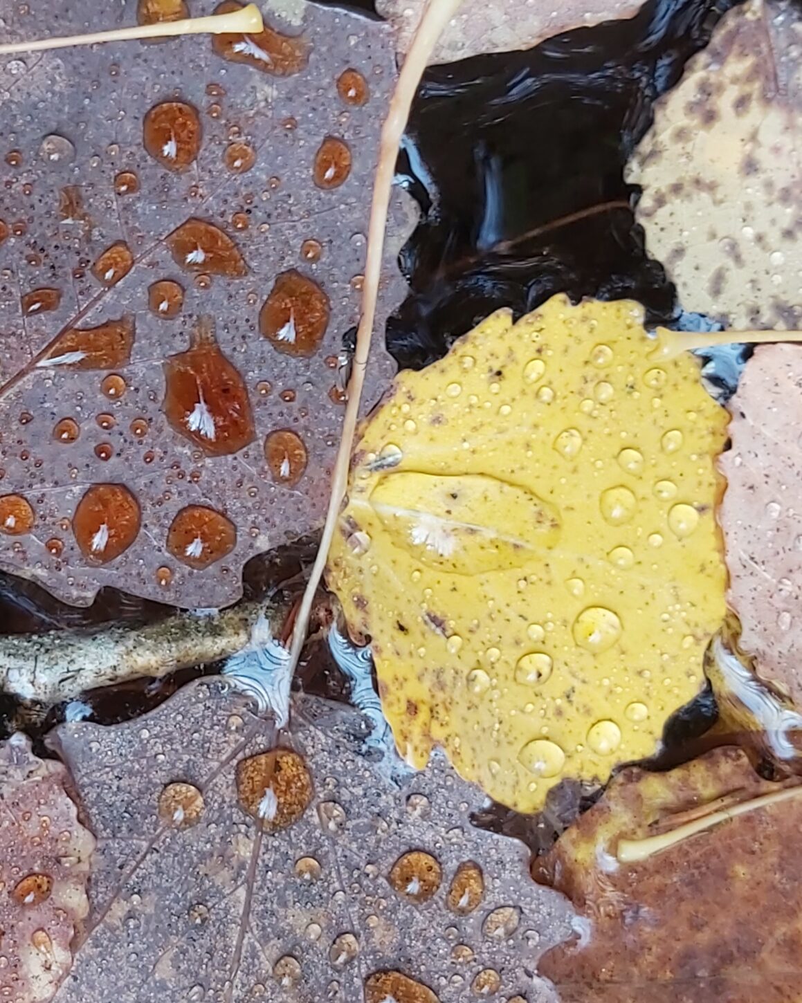 Valokuvaaja: Kaisa Marila