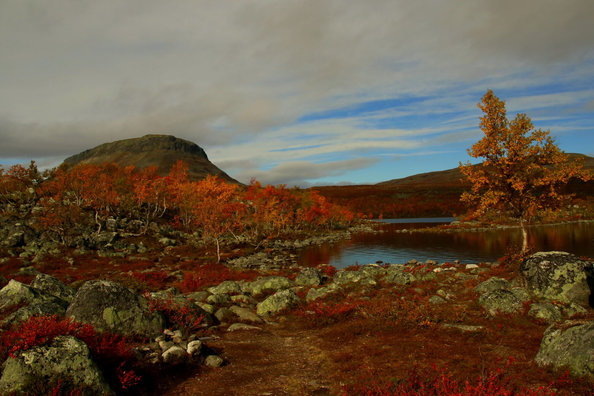 Valokuvaaja: Ari Karjalainen