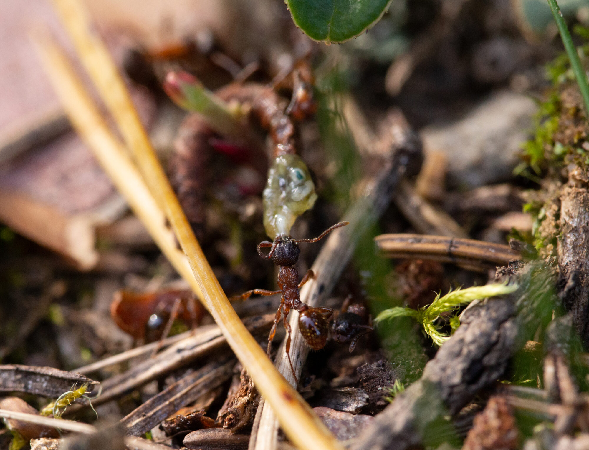 Valokuvaaja: Samuel Koivisto