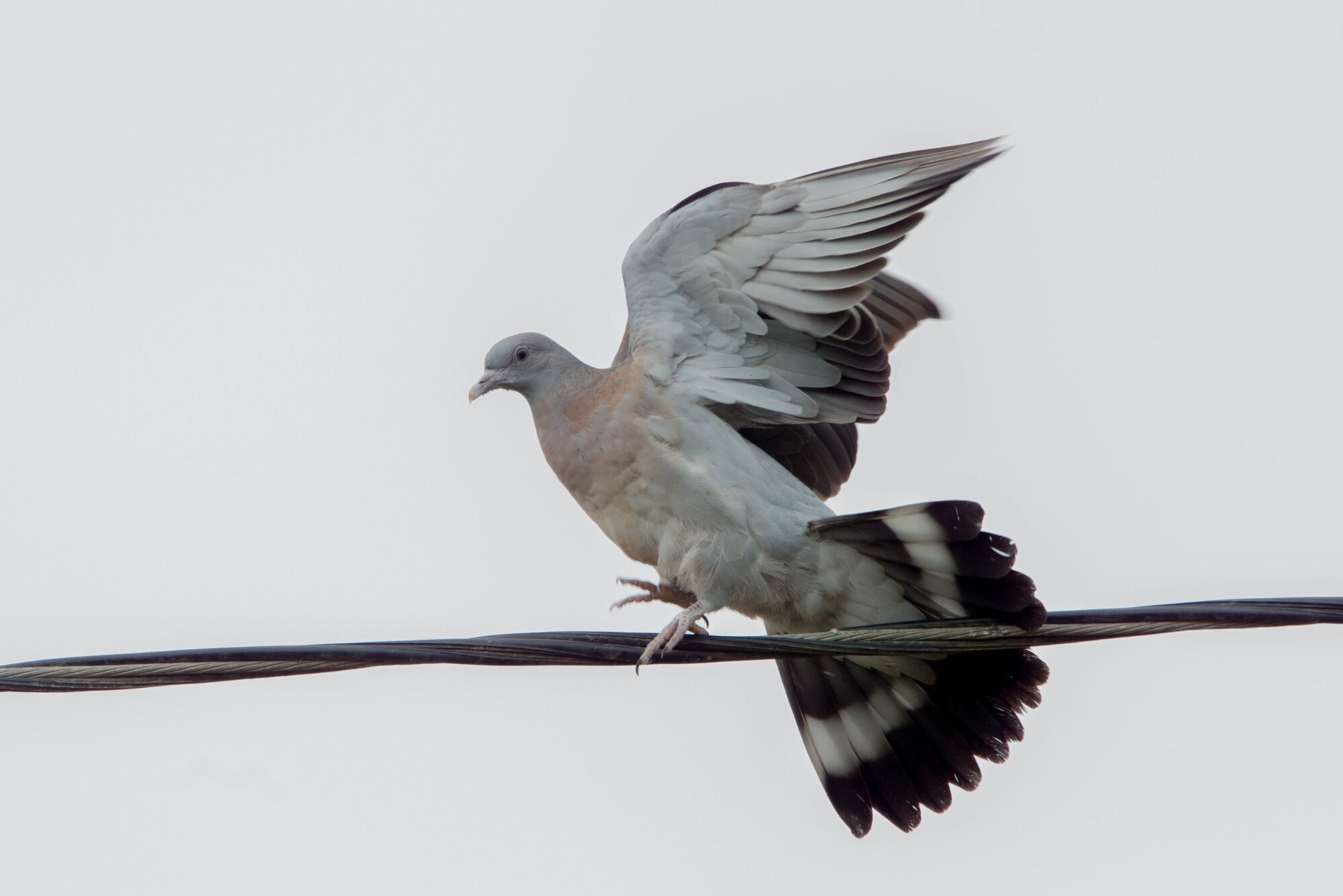 Valokuvaaja: Markku Salonen