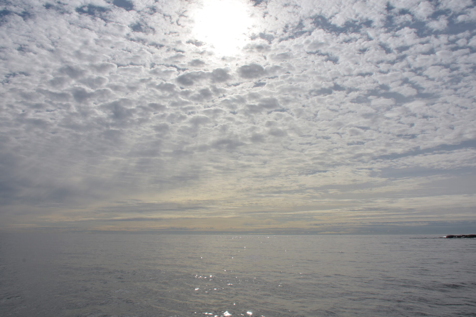 Valokuvaaja: Jouko Etelä