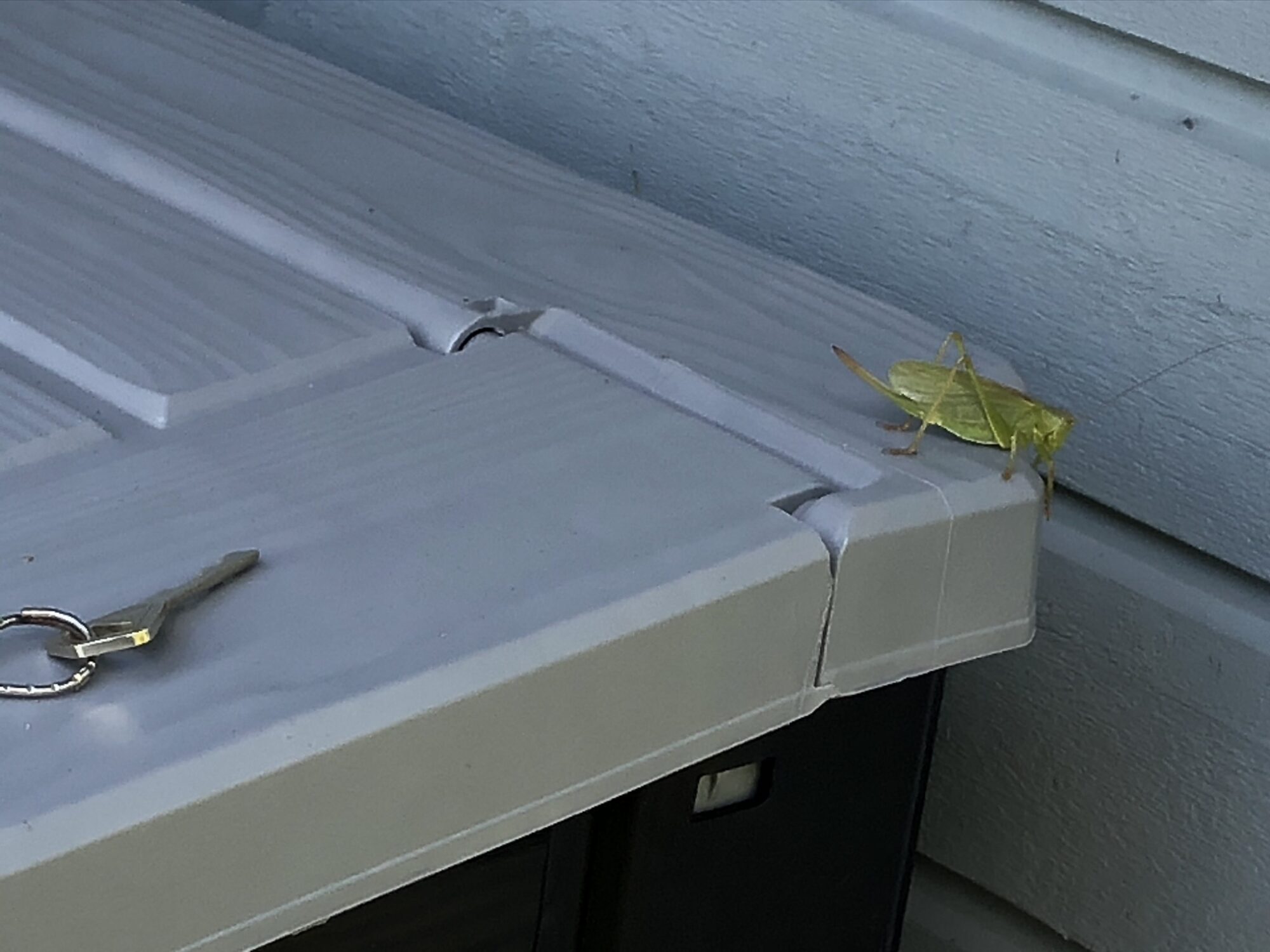 Valokuvaaja: Markku Mäkelä