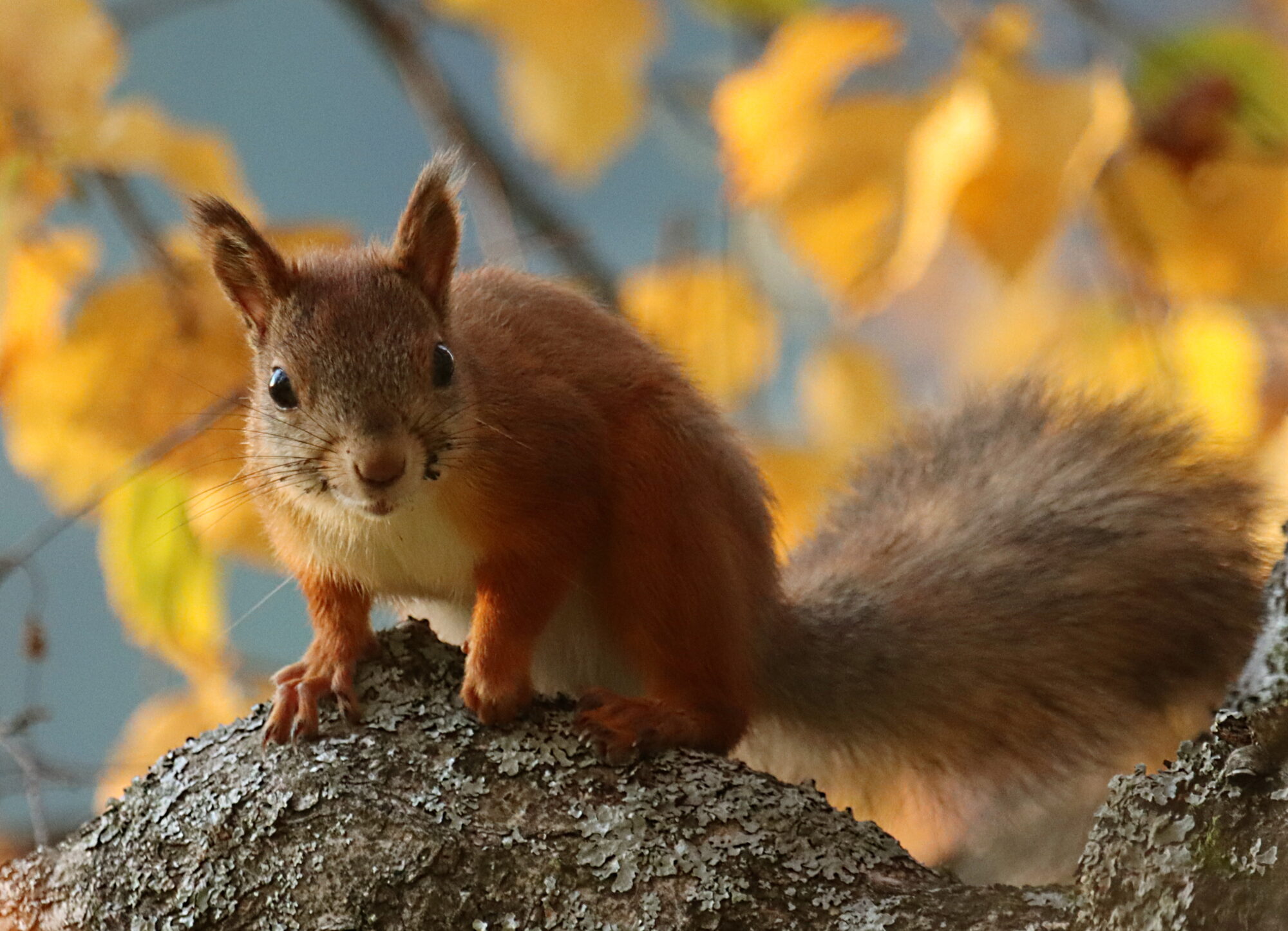 Valokuvaaja: Ritva Nieminen