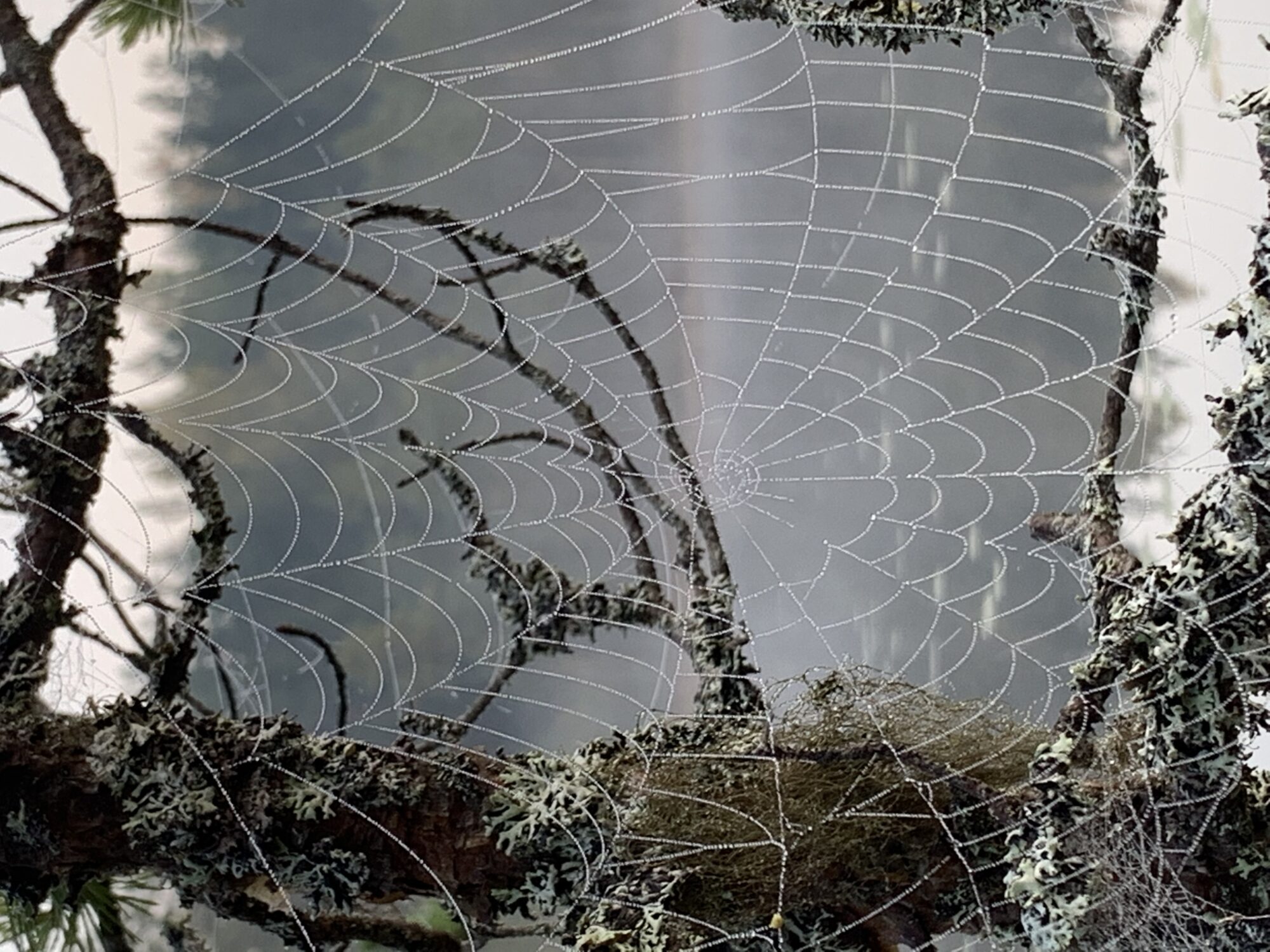 Valokuvaaja: Sami Teittinen