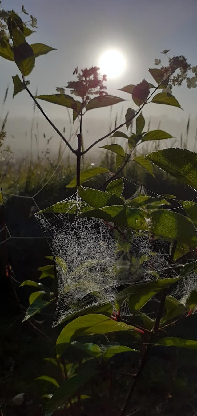 Valokuvaaja: Raisa Vuokola