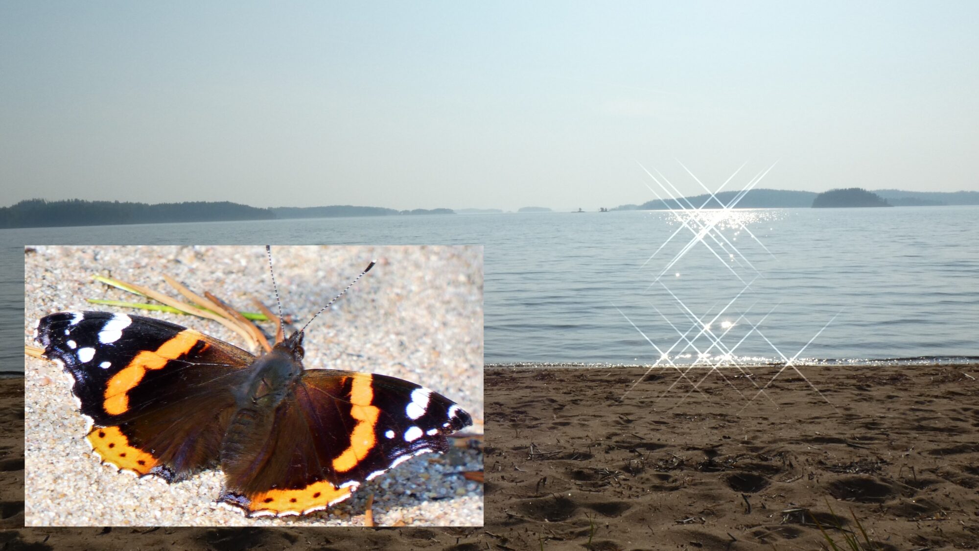 Valokuvaaja: Pekka Heino