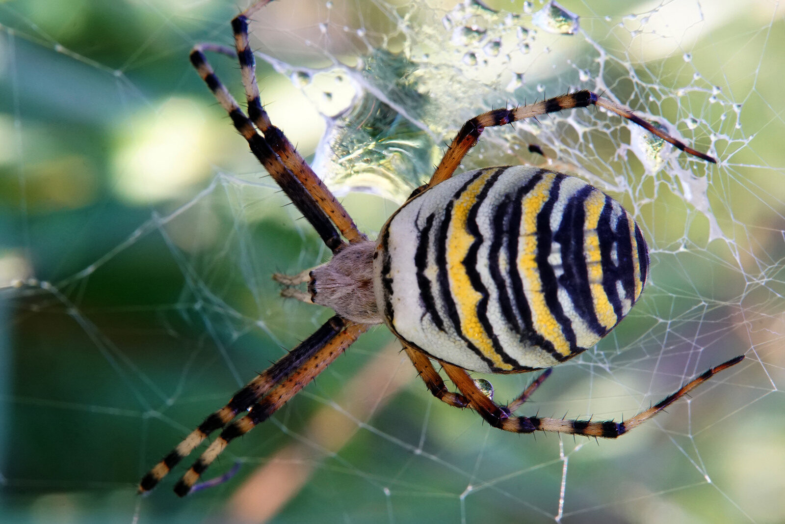 Valokuvaaja: Juhani Harkas