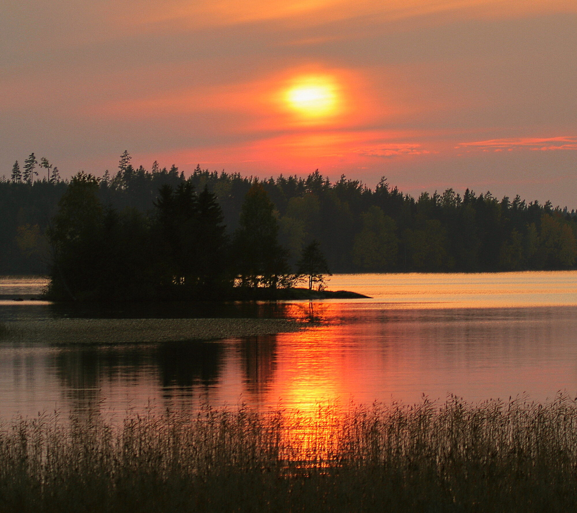 Valokuvaaja: Ritva Nieminen