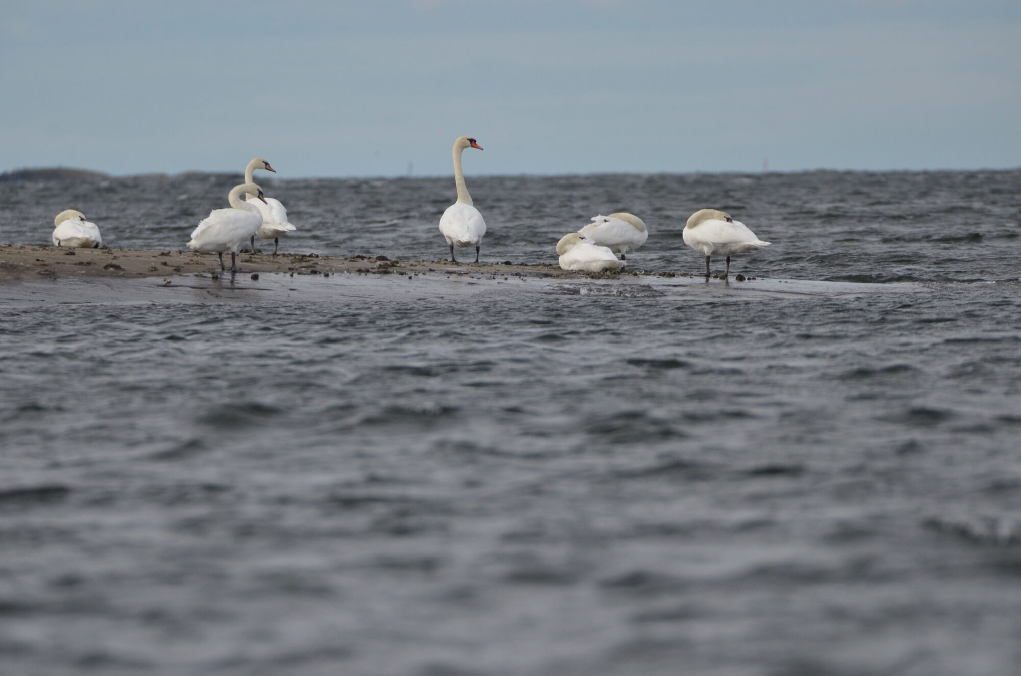 Valokuvaaja: Jouko Etelä