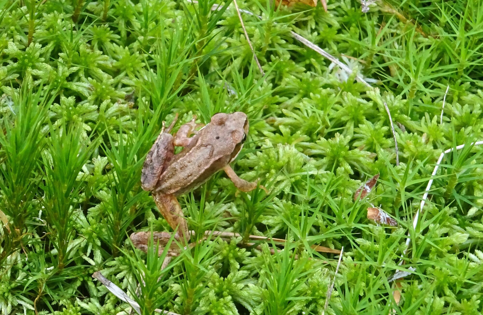 Valokuvaaja: Liisa Niiva-Korpela